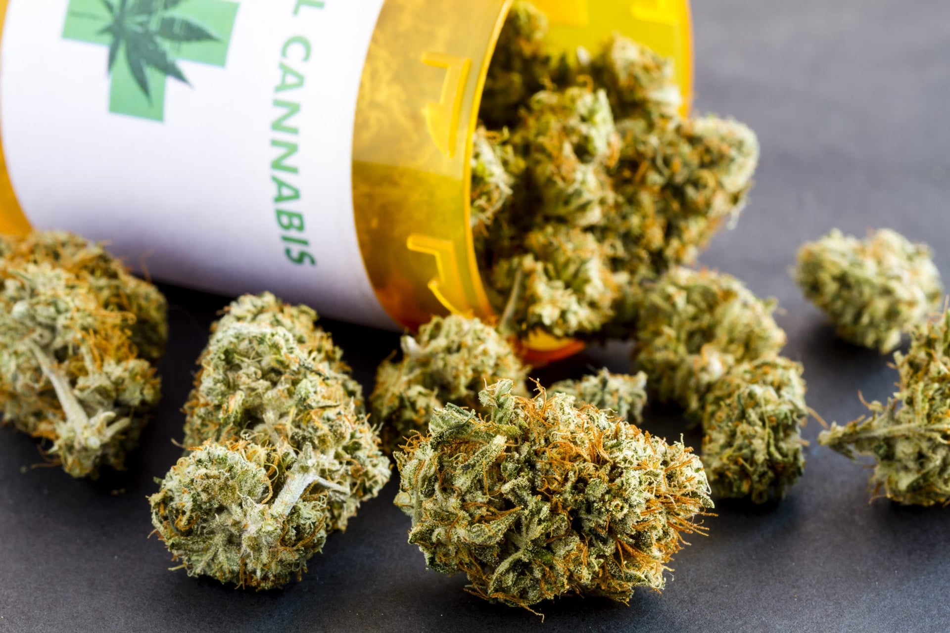 U.S. medical marijuana firm Trulieve post earning with increased profits