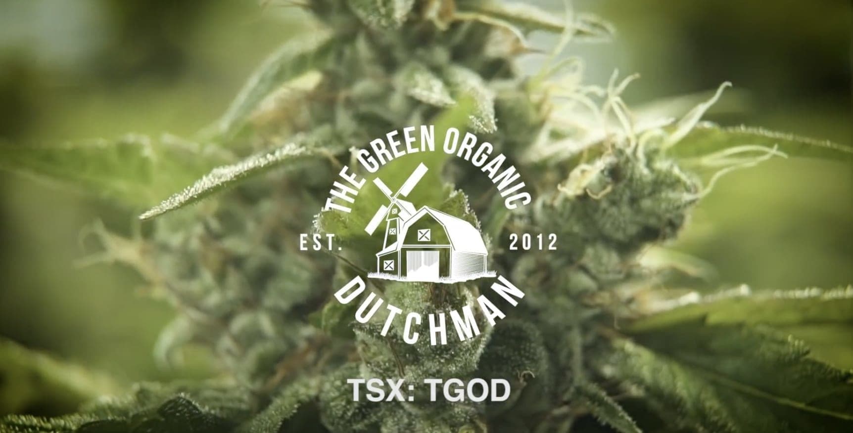 Canadian cannabis company expanding in CBD beverage space in the U.S.