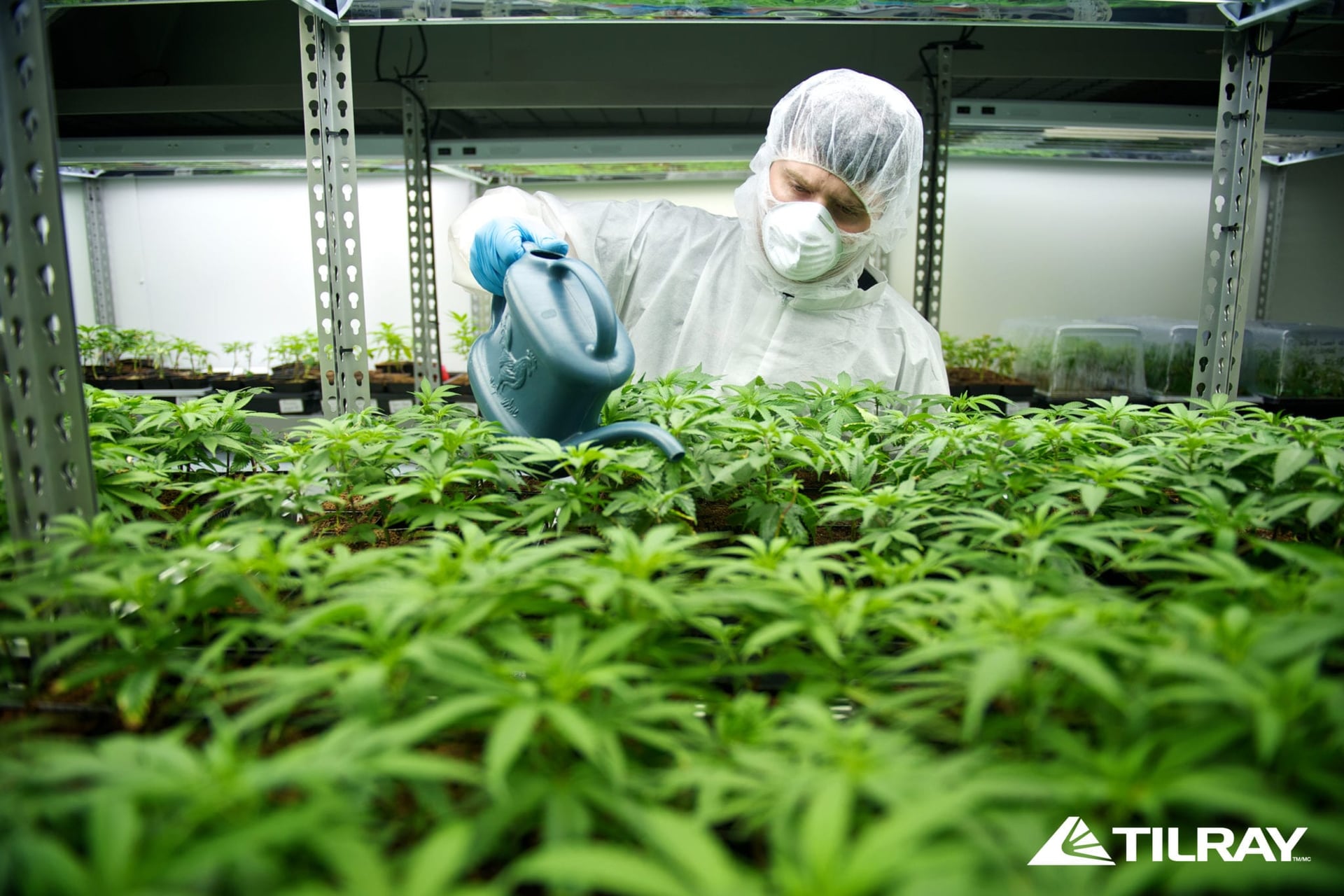 Tilray to Expand Existing Facilities with an Investment of US$32.6 Million
