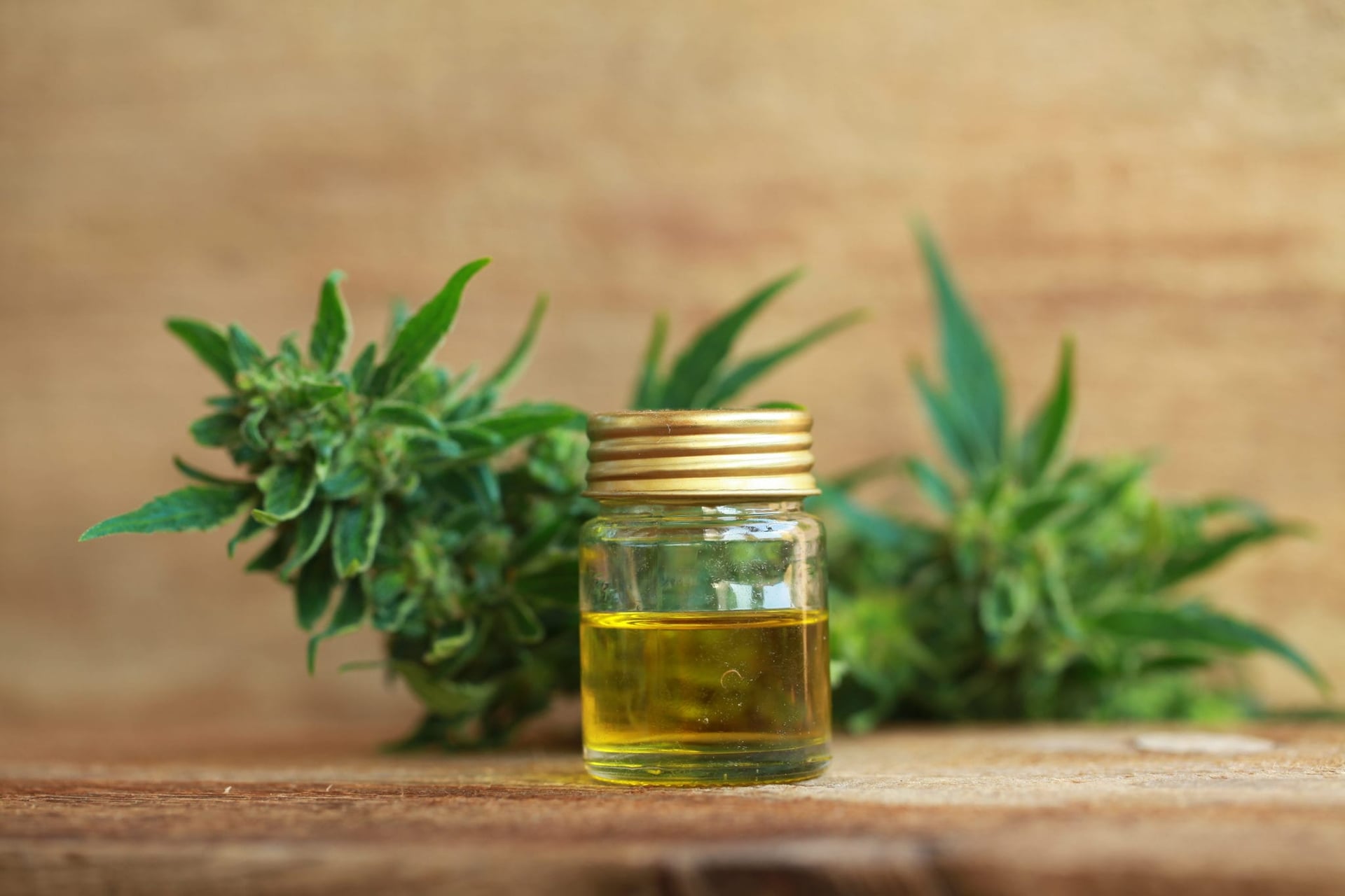 CannTrust Holdings Inc. (NYSE:CTST)(TSX:TRST) announced Wednesday it will expand into the growing U.S. CBD market through a joint venture to cultivate hemp in California.