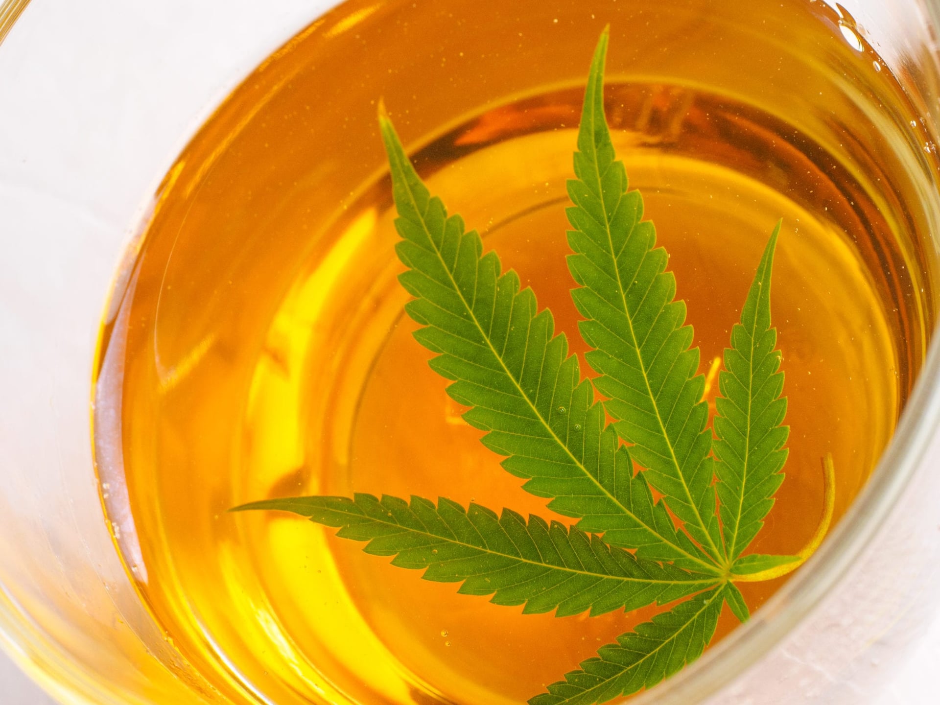Cannabis producer Hexo Corp.'s pot-infused beverages it has been developing with alcohol giant Molson Coors will be ready in Canada by mid-December.