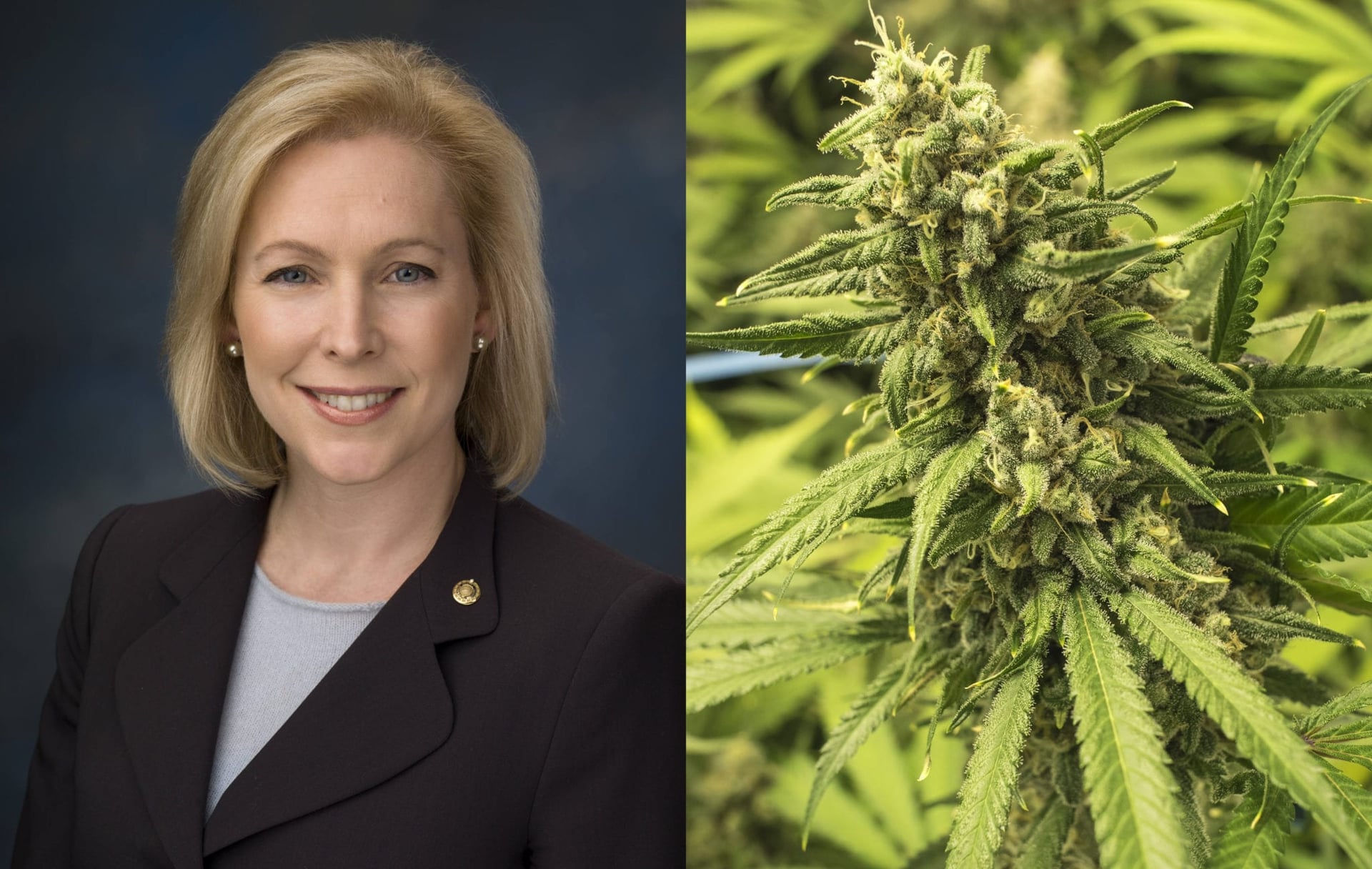 Presidential Candidate Gillibrand Unveils Plan to Legalize Marijuana