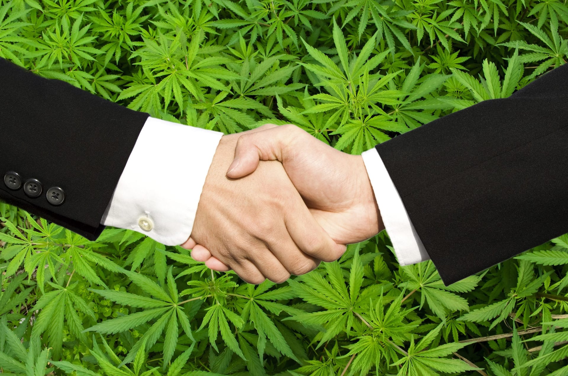 Acreage Holdings, Inc. said it has some major deals in the works now that its prospective sale to Canopy Growth Corp. has been approved by shareholders.