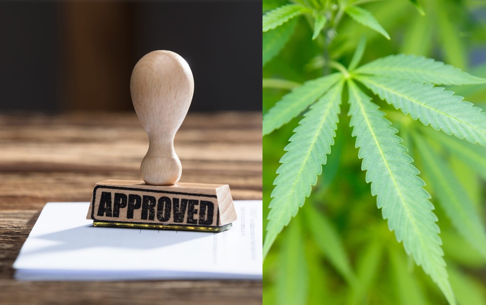 U.S. multi-state cannabis operator Acreage Holdings Inc. (CSE:ACRG.U) said Wednesday its shareholders voted in favour to be acquired by Canada's largest marijuana firm Canopy Growth Corp. (TSX:WEED)(NYSE:CGC) in a deal contingent on U.S. federal legalization of cannabis.