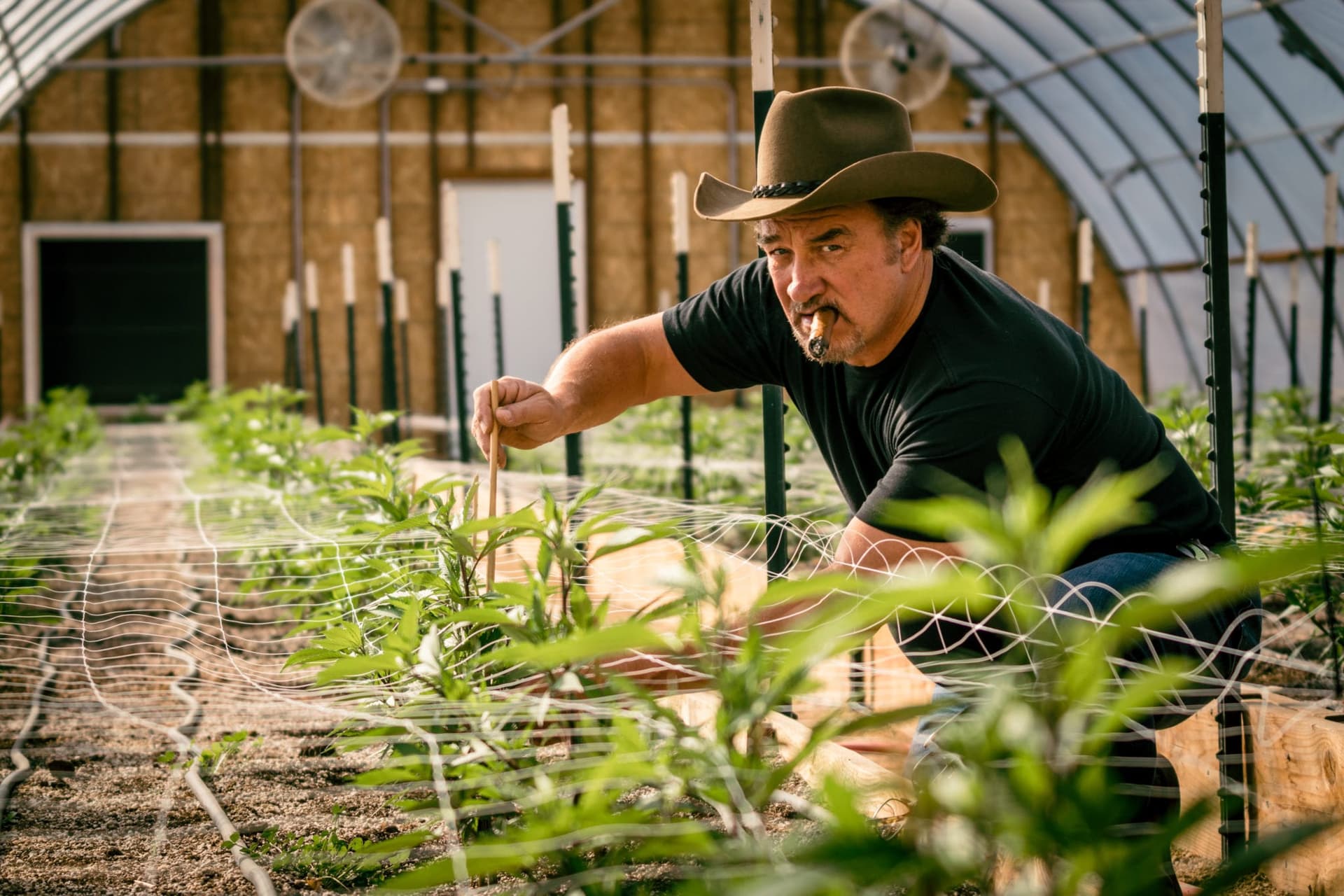 Comedy legend Jim Belushi has discovered a passion for growing and selling cannabis in Oregon and now wants to take his Blues Brothers pot to Illinois.
