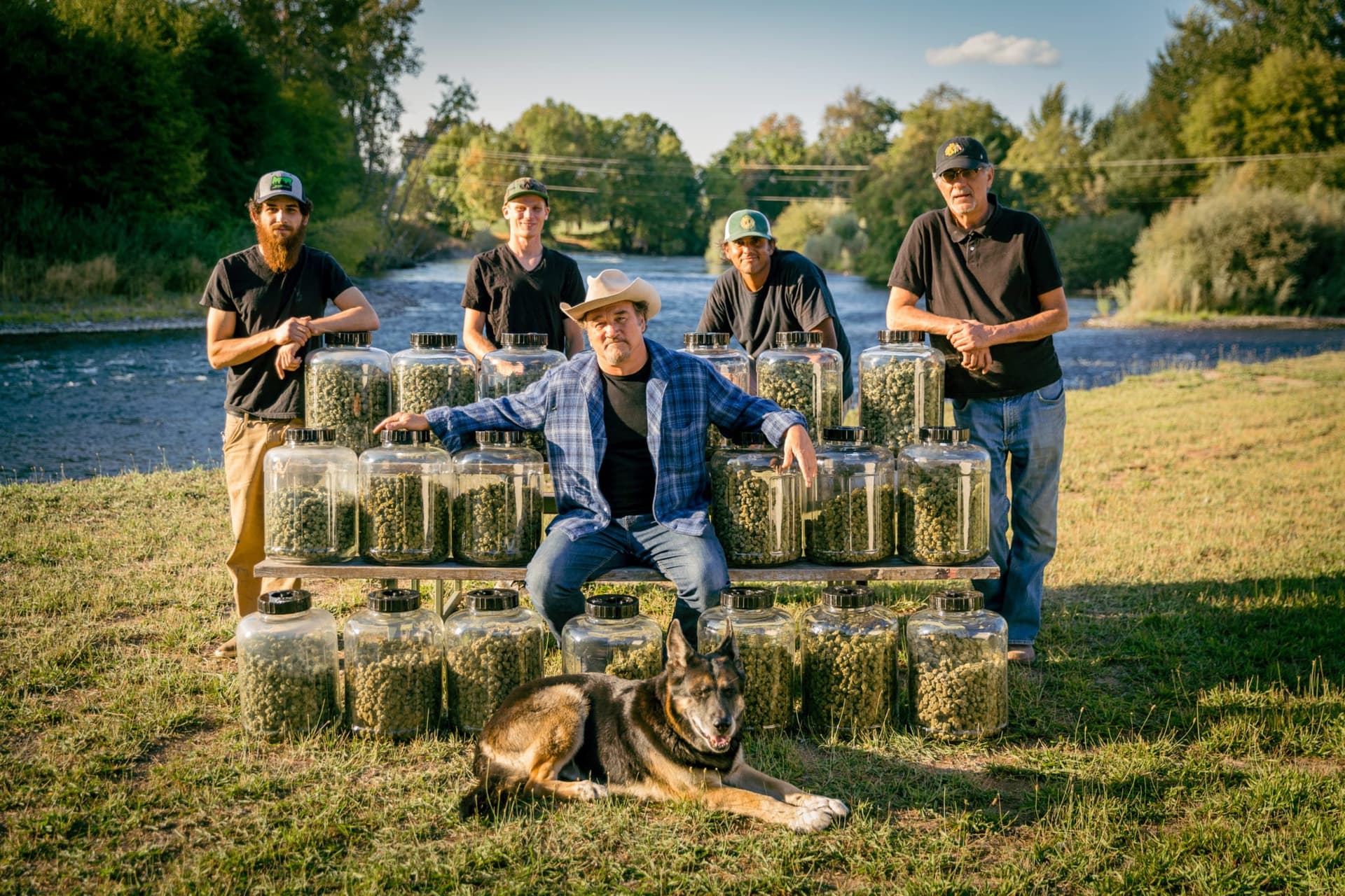 Comedy legend Jim Belushi has discovered a passion for growing and selling cannabis in Oregon and now wants to take his Blues Brothers pot to Illinois.