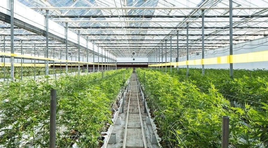 One cannabis REIT stock attracting investors is Innovative Industrial Properties, Inc. (NYSE:IIPR), which currently owns 22 properties in 11 U.S. states.