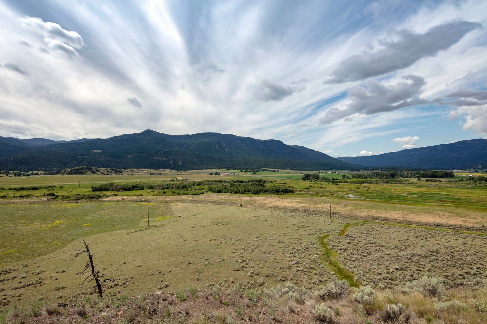 Edmonton-based licensed producer Aurora Cannabis said it got the green light from Health Canada to grow cannabis outdoors at sites in Quebec and B.C.