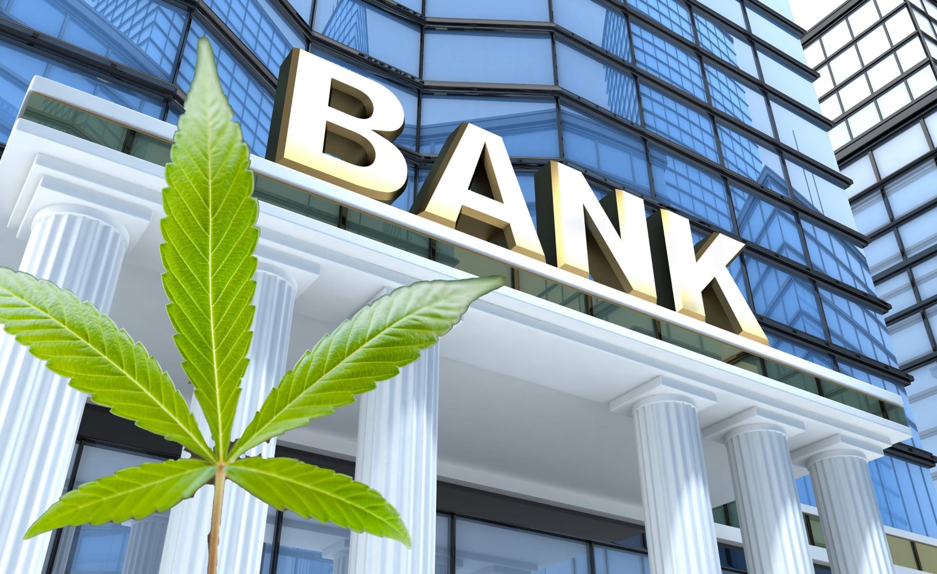 State-charted Connecticut banks and credit unions have been quietly working with cannabis companies to give them a safer option in storing their cash.