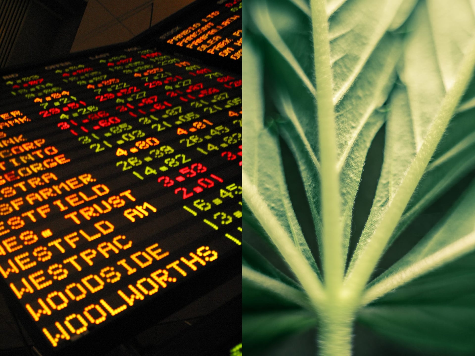 Vancouver-based cannabis company BevCanna Enterprises Inc. (CSE:BEV) started trading on the Canadian Securities Exchange (CSE) on Tuesday.