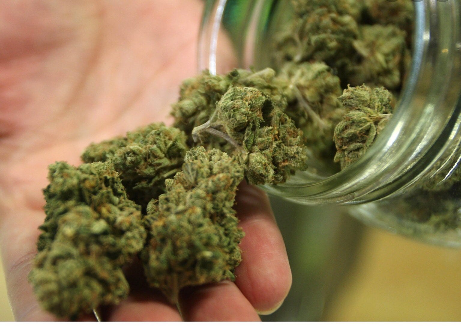 The black market continues to undercut Canada's legal cannabis market with licensed retailers charging as much as 80 per cent more, according to Statistics Canada.