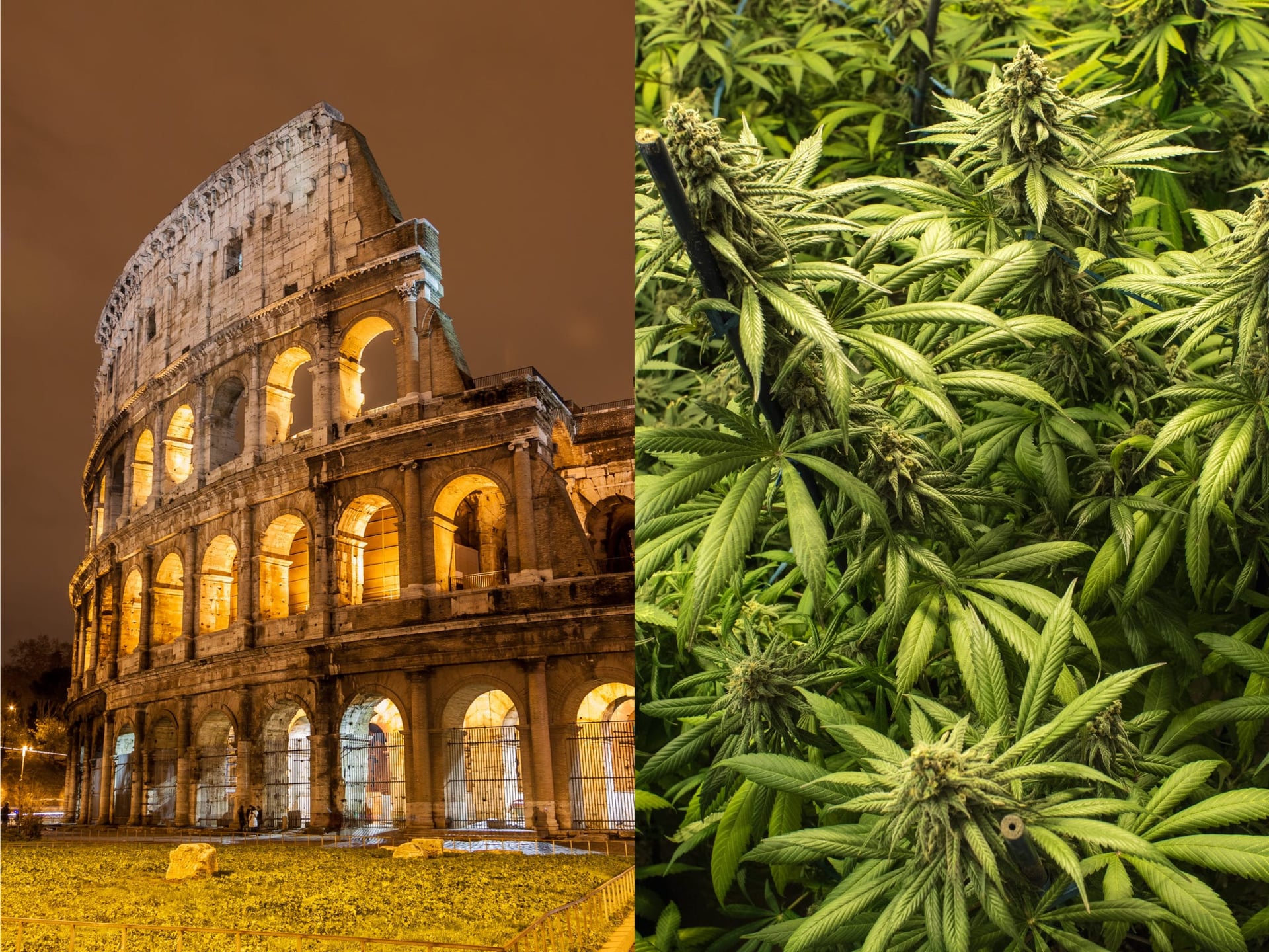 Aurora Cannabis Wins Contract to Supply Medical Marijuana to Italy