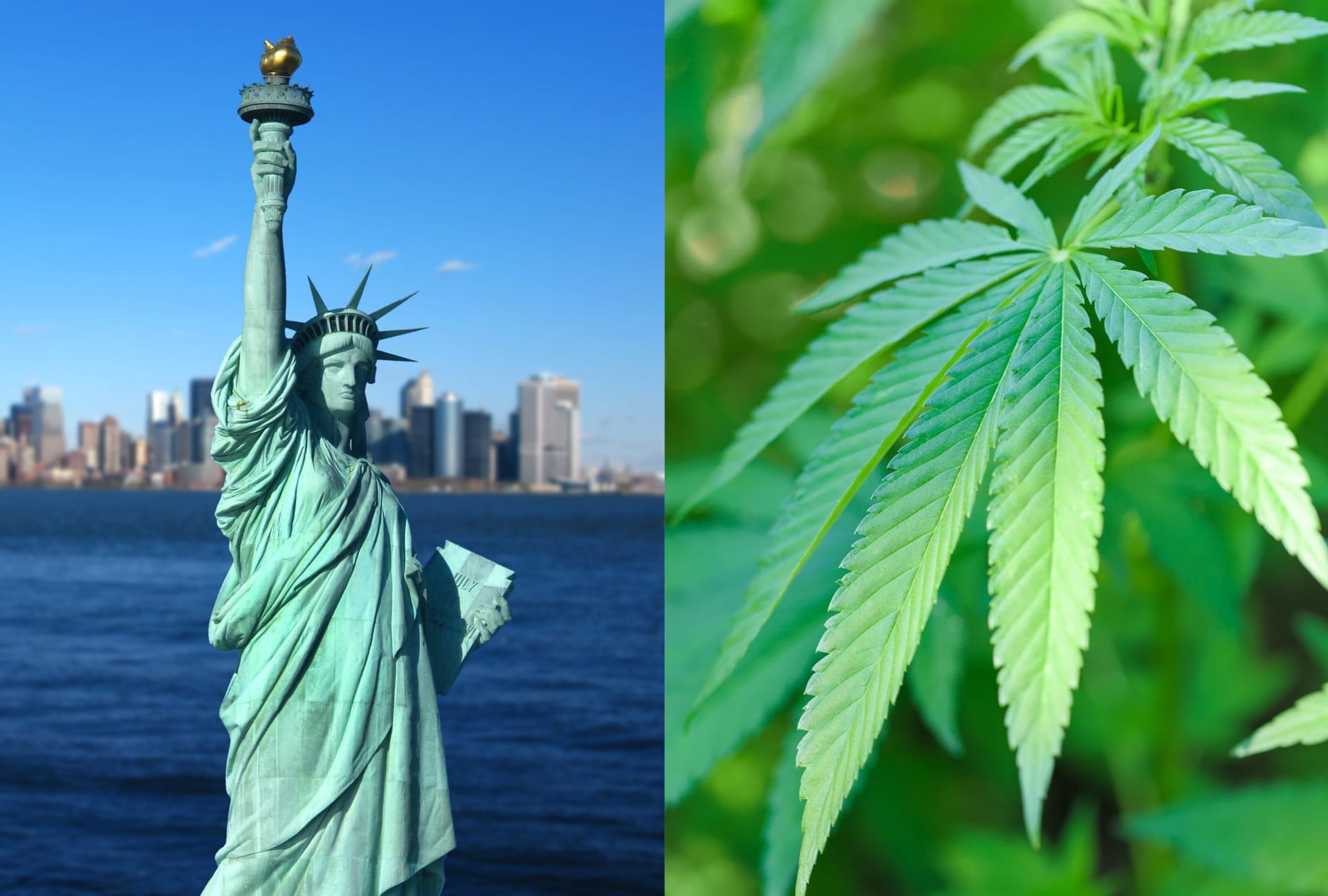 New York State Decriminalizes Cannabis