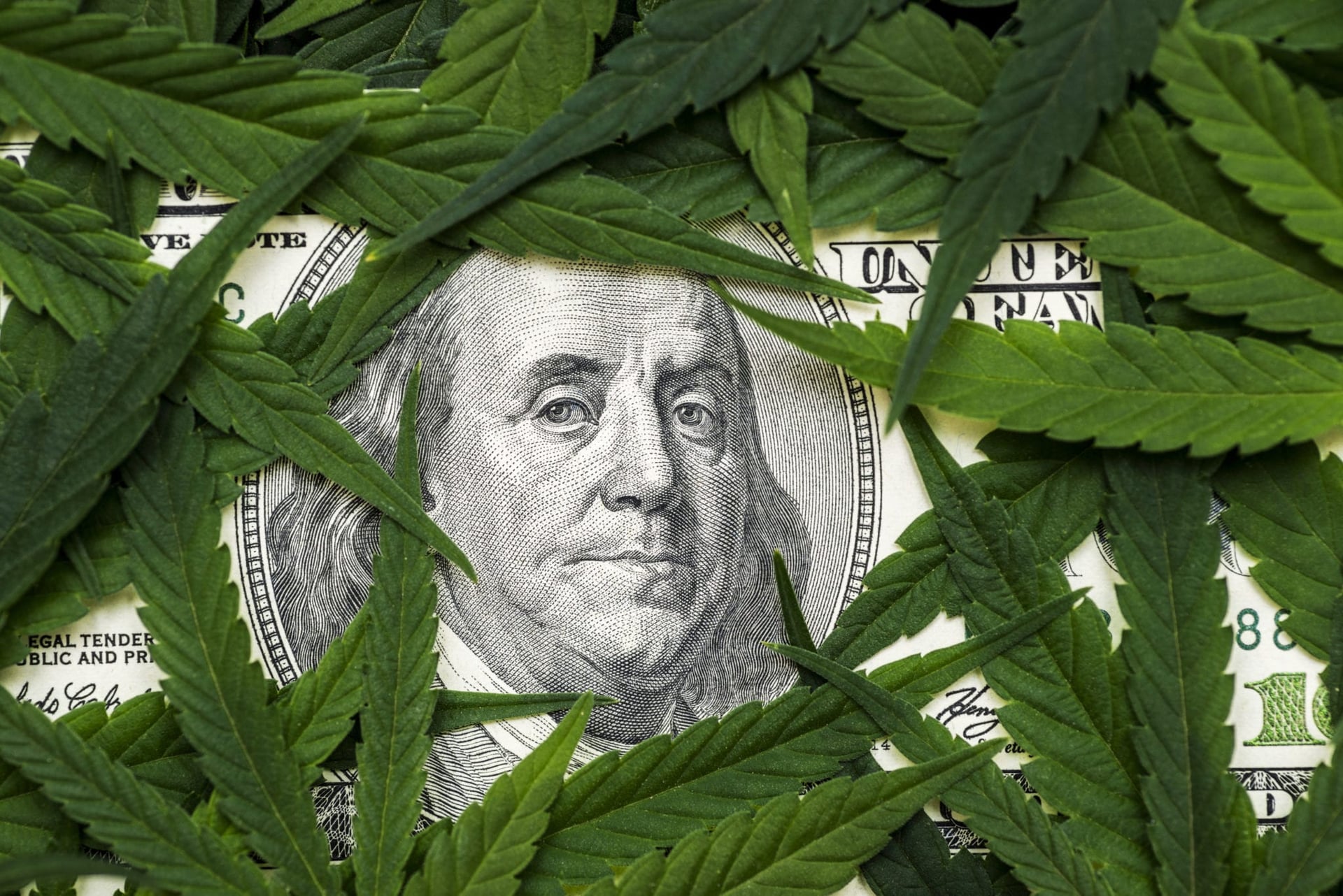 Cannabis Sector Freefall Didn't Let up in September