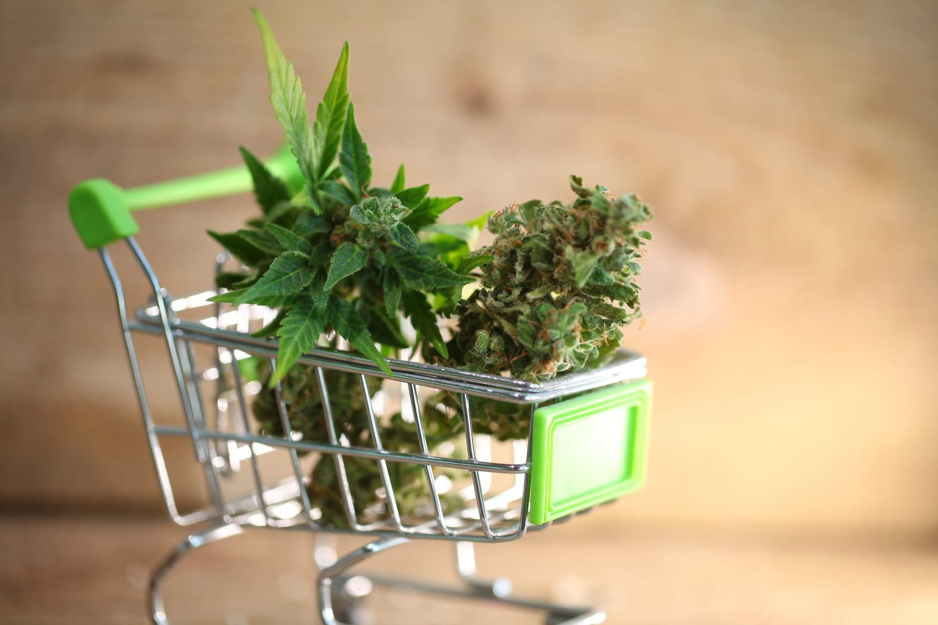 Cannabis Retail Sales Exceed $100M For First Time in July: Statistics Canada