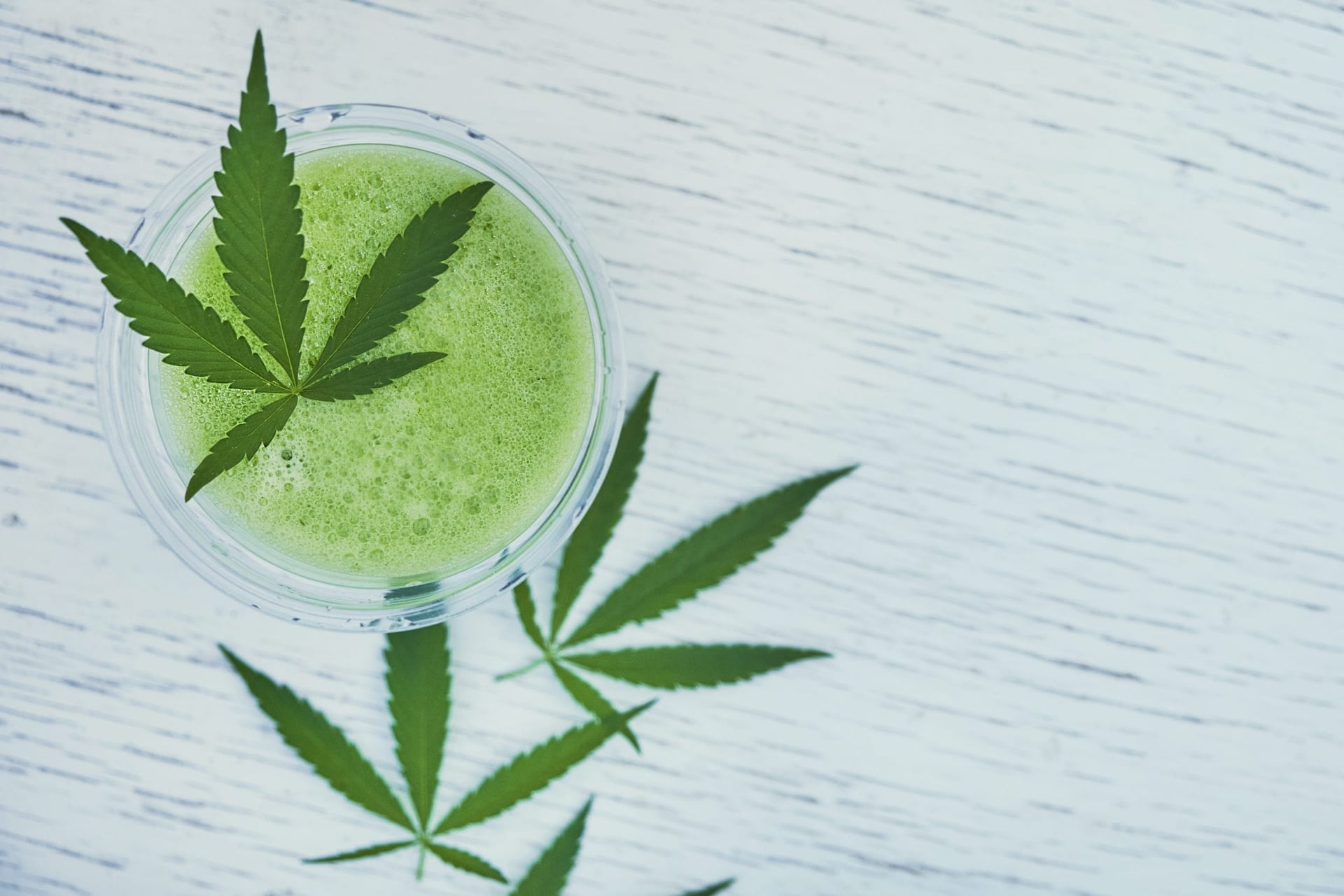 Sproutly and Moosehead Ready to Take Cannabis 2.0 by Storm with Infused Beverages