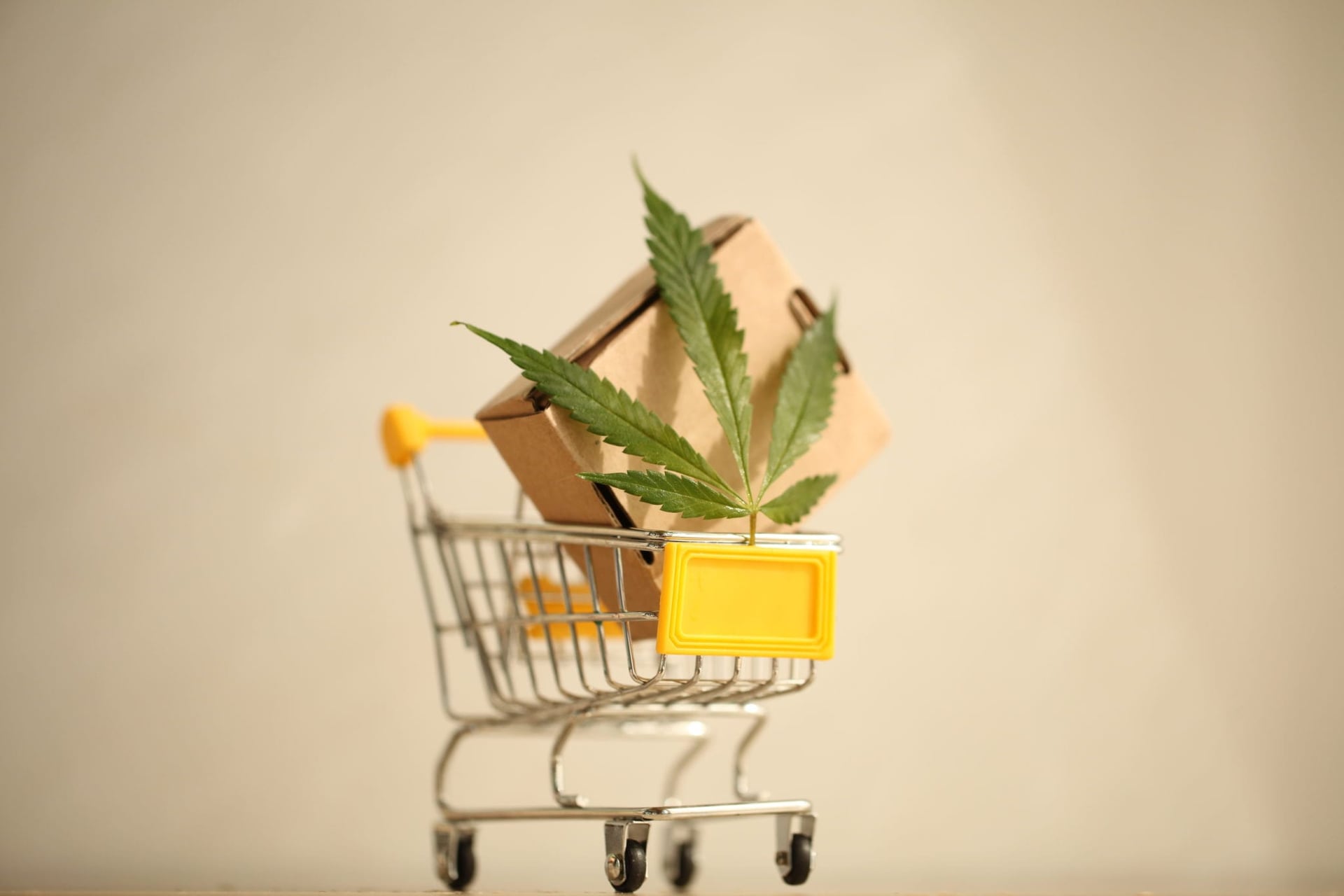Canadian Pot Sales Continue Double-Digit Growth in August as More Stores Come Online
