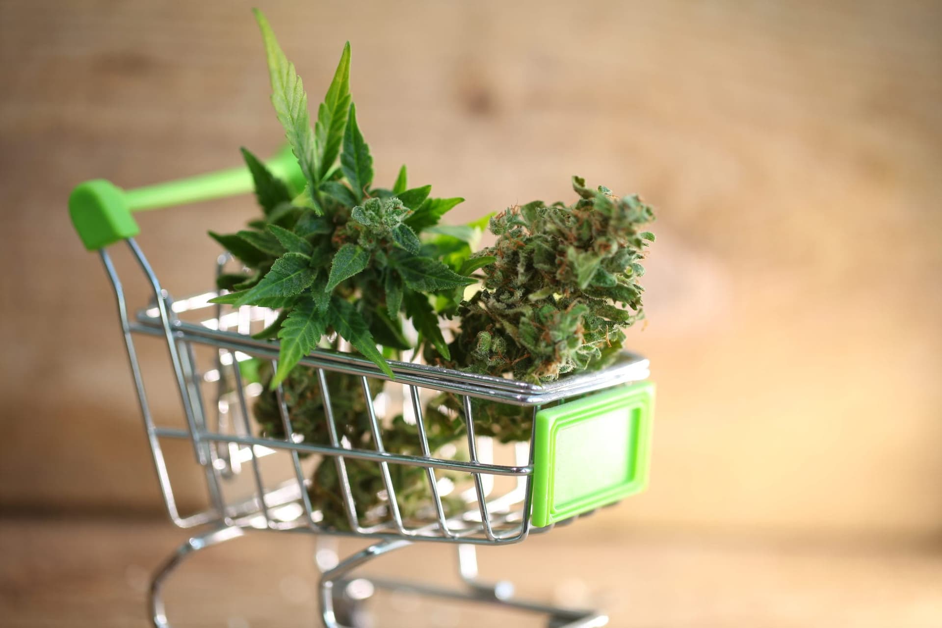 Canadian Pot Sales Continue Double-Digit Growth in August as More Stores Come Online