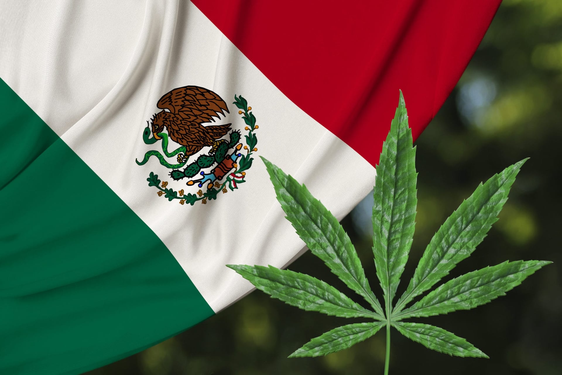 Mexico Could Legalize Cannabis By the End of October