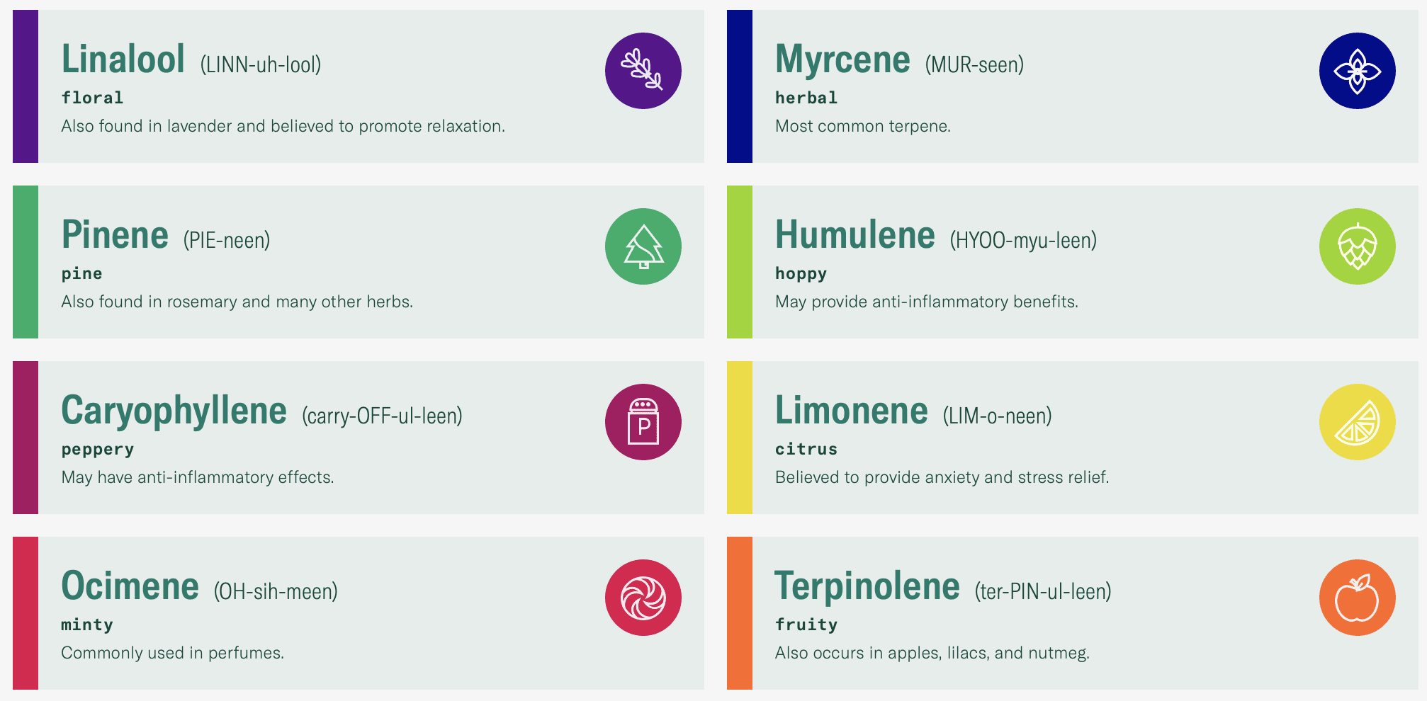 A colourful new kaleidoscope is the new guide to the perfect high. Leafly Canada launched its new cannabis guide online on Tuesday, which takes extensive data on thousands of different strains and produces simplified “flowers” to help consumers find their favourite product.