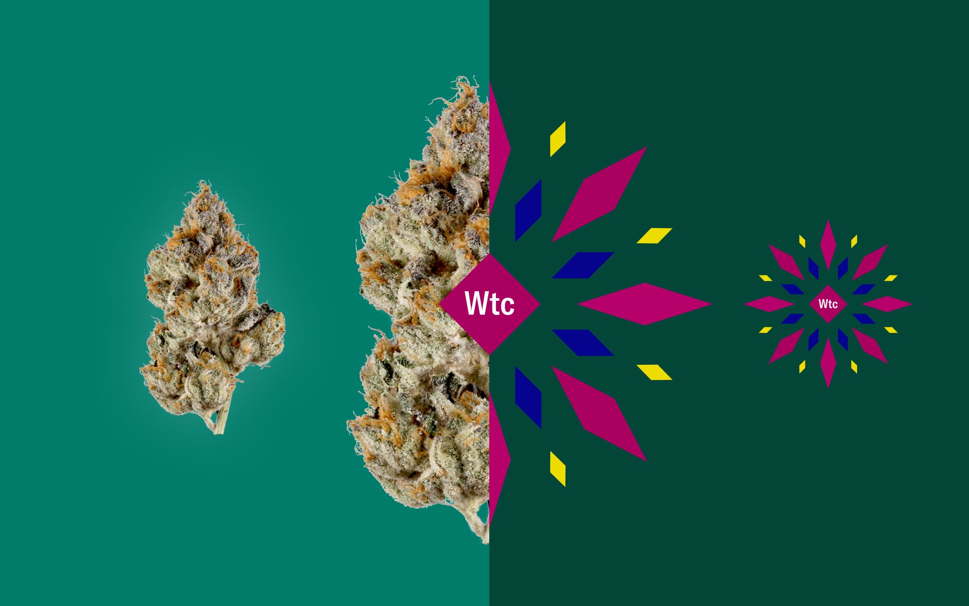 Calling All Ladies: It's Time To get Involved in the Cannabis Industry, says Head of Leafly.ca