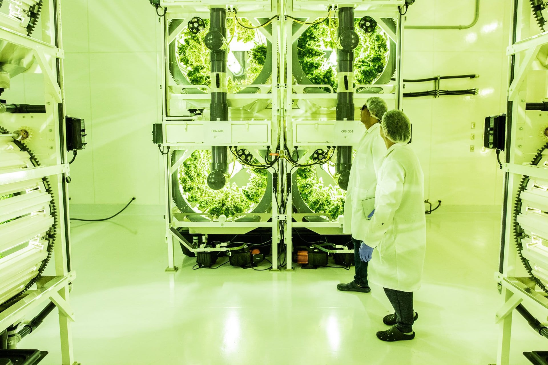 Winnipeg-based Pot Producer Bonify Gets Health Canada Sales Licence Reinstated