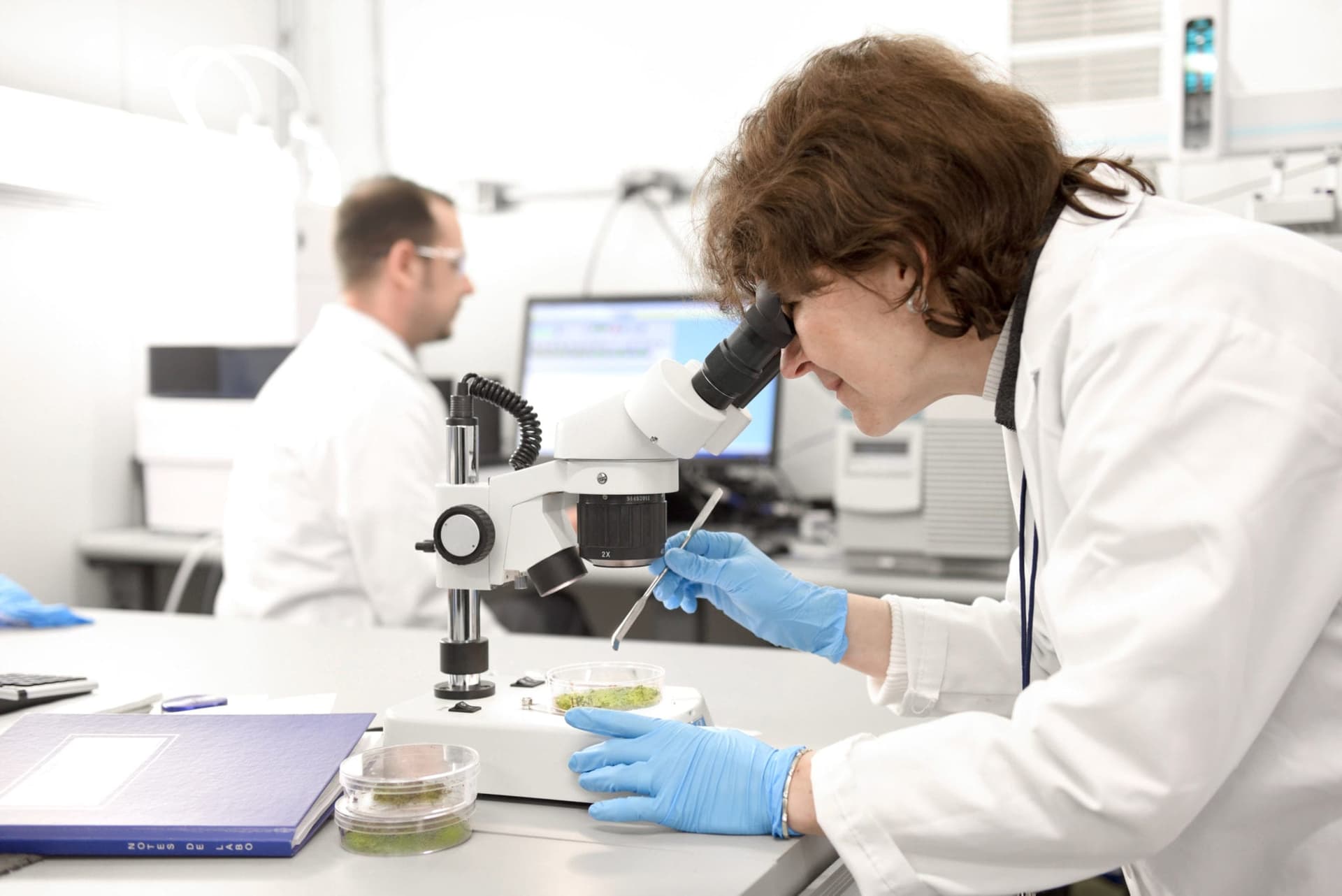 Tilray Backs First Human Study on Cannabis in Breast Cancer Patients
