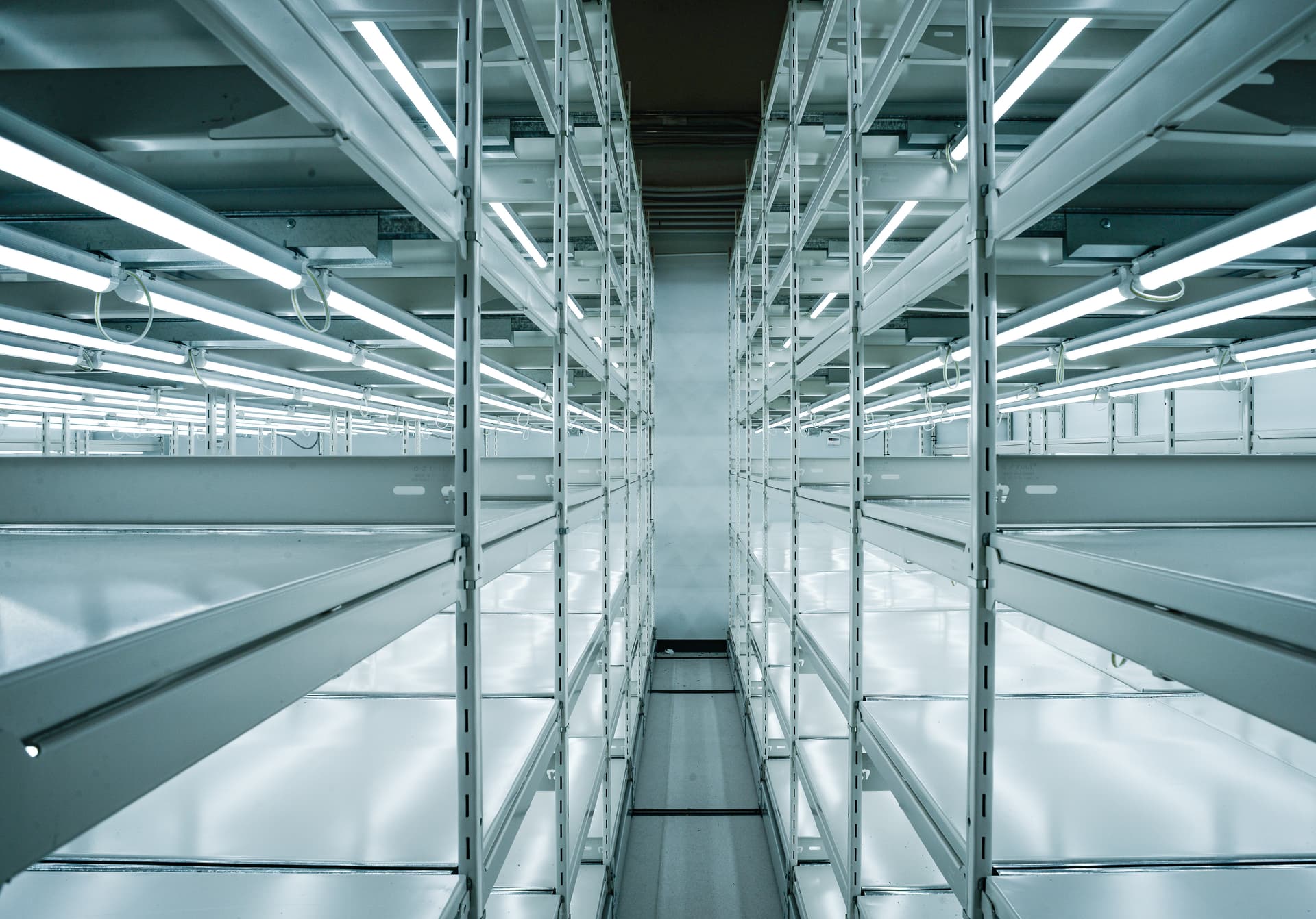 Segra granted licence to grow premium cannabis clones using tissue culture