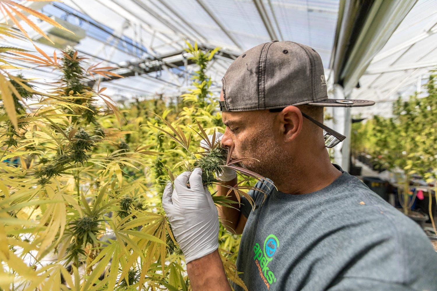 Zane Lamprey Puts Down His Drink, Puts on Hemp Pants