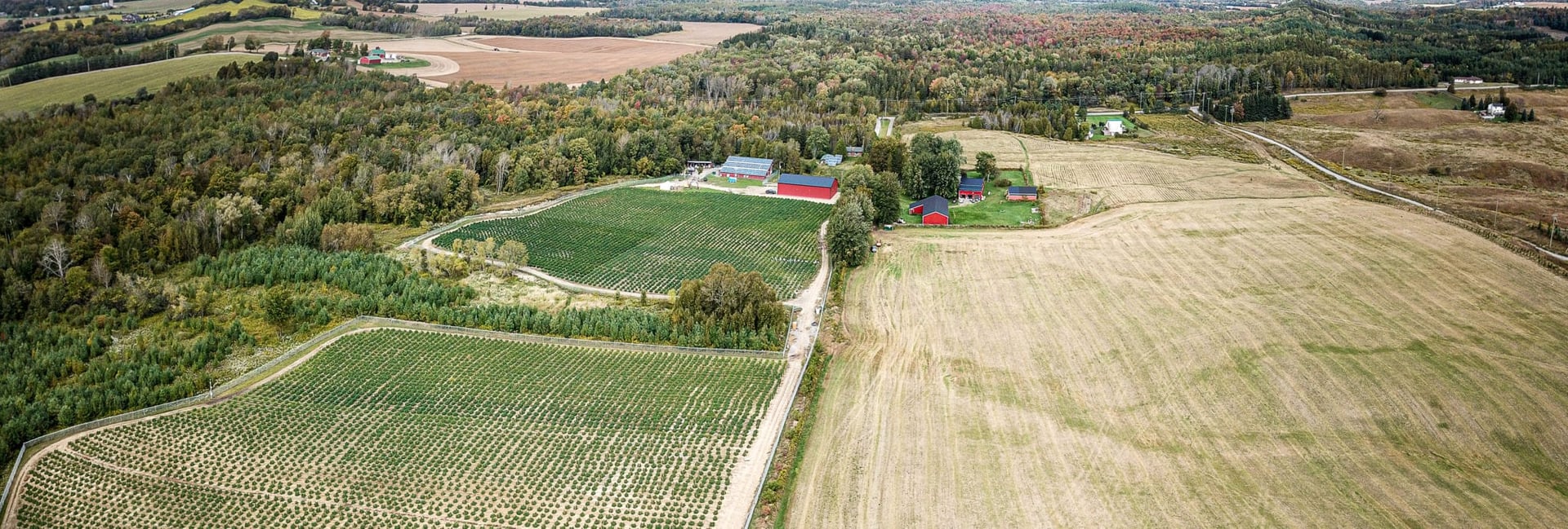 Aleafia Health's First Outdoor Crop Produces Cheapest Cannabis in Country
