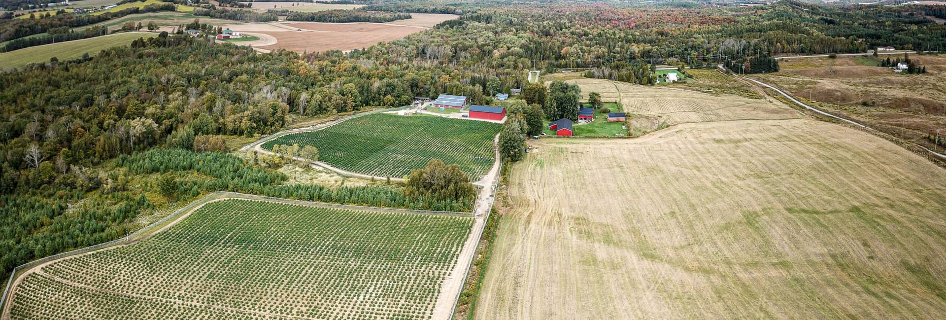 Aleafia Health's First Outdoor Crop Produces Cheapest Cannabis in Country