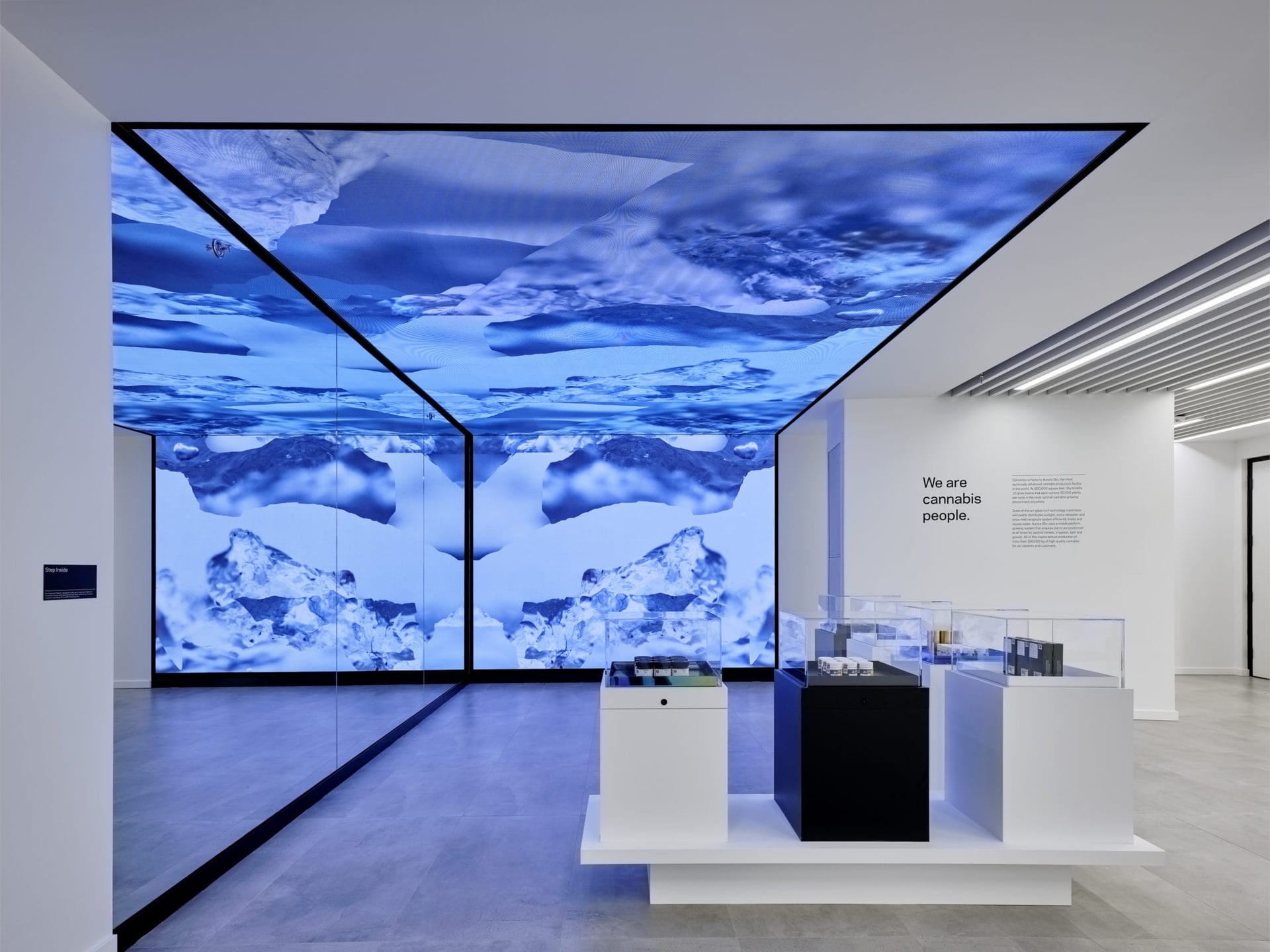Take a look inside Aurora's 'experimental' new flagship store (photos)