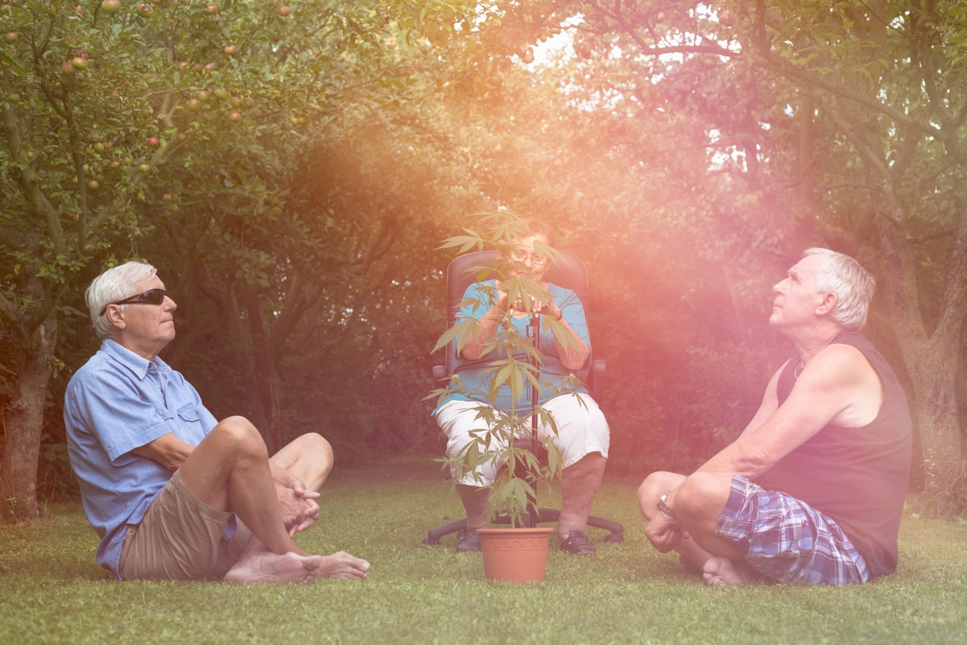 Seniors are Canada's Fastest Growing Demographic of Cannabis Users: StatsCan