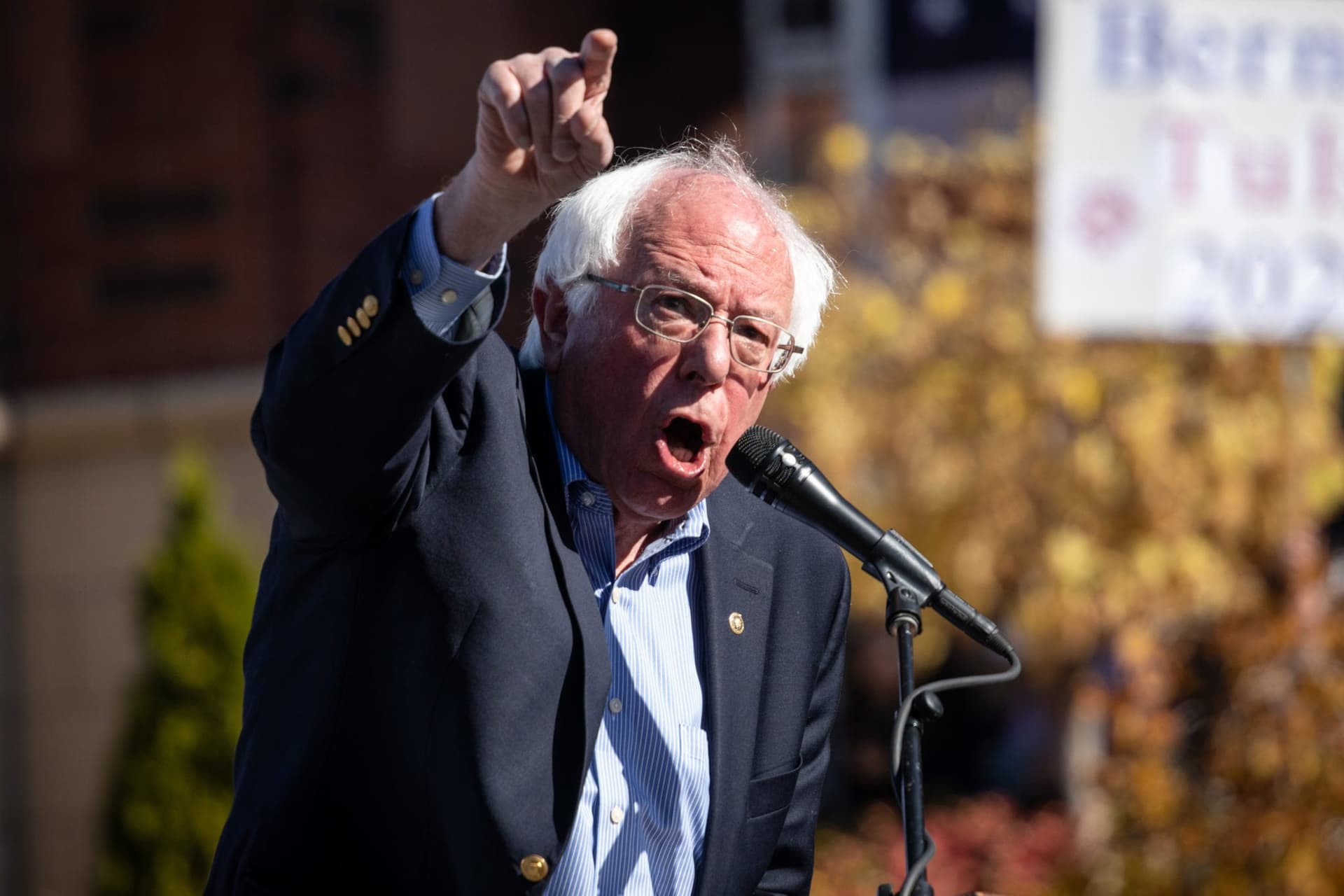 Bernie Sanders Moves to Legalize Medicinal Cannabis for Veterans
