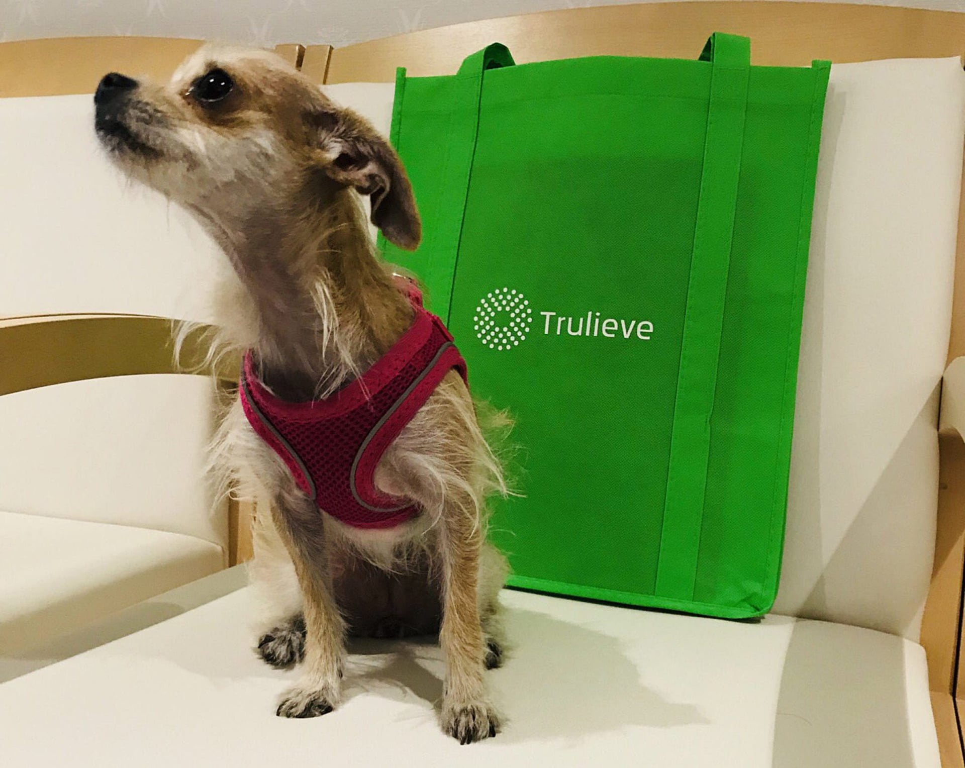 Trulieve Shows Up Canadian Pot Companies With Third-Quarter Revenue Beat