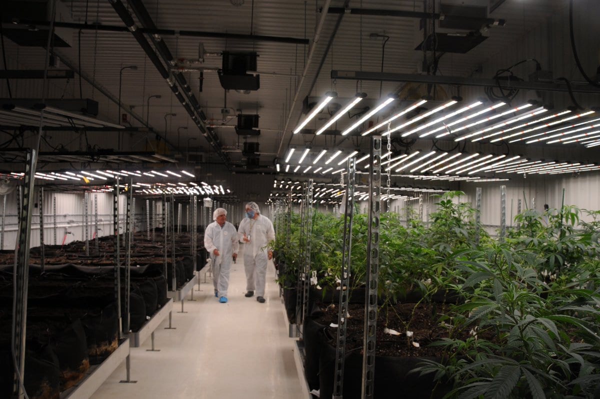 TGOD expands Canaccord financing deal
