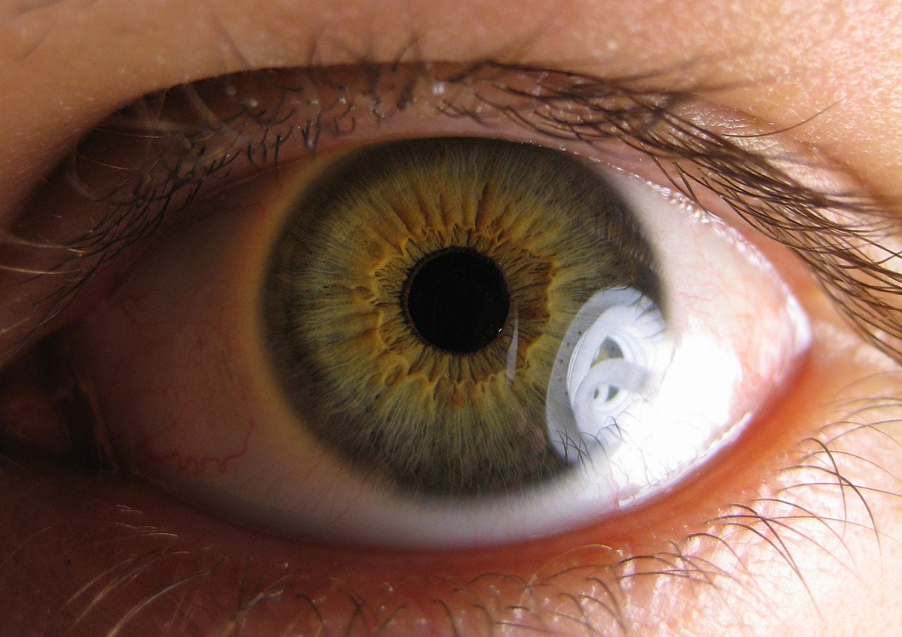 Cannabinol (CBN) the main ingredient in potential treatments for glaucoma and a rare skin disease - picture of an eyeball close up