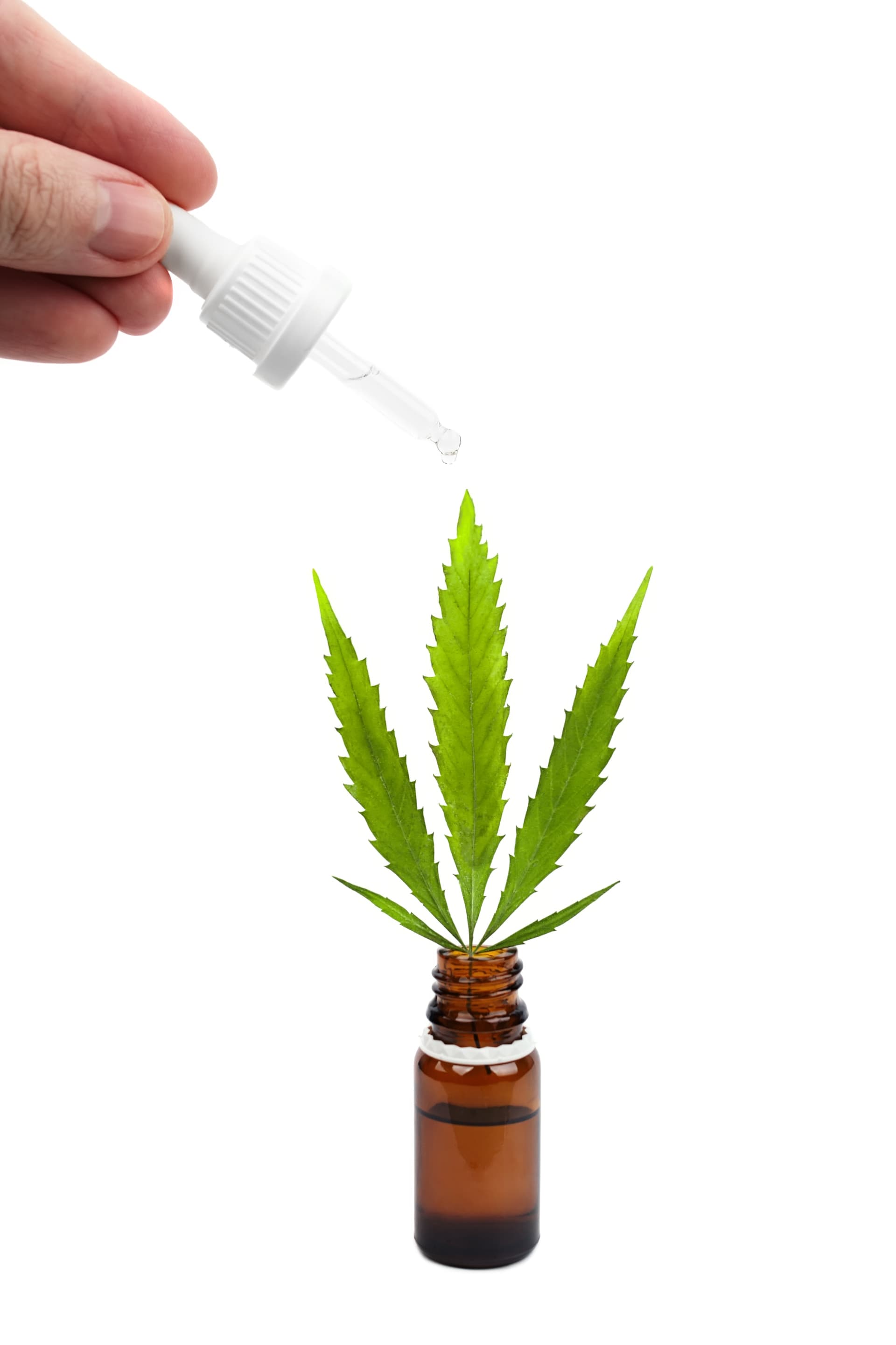 Four CBD companies poised to take advantage of U.S. policy shift