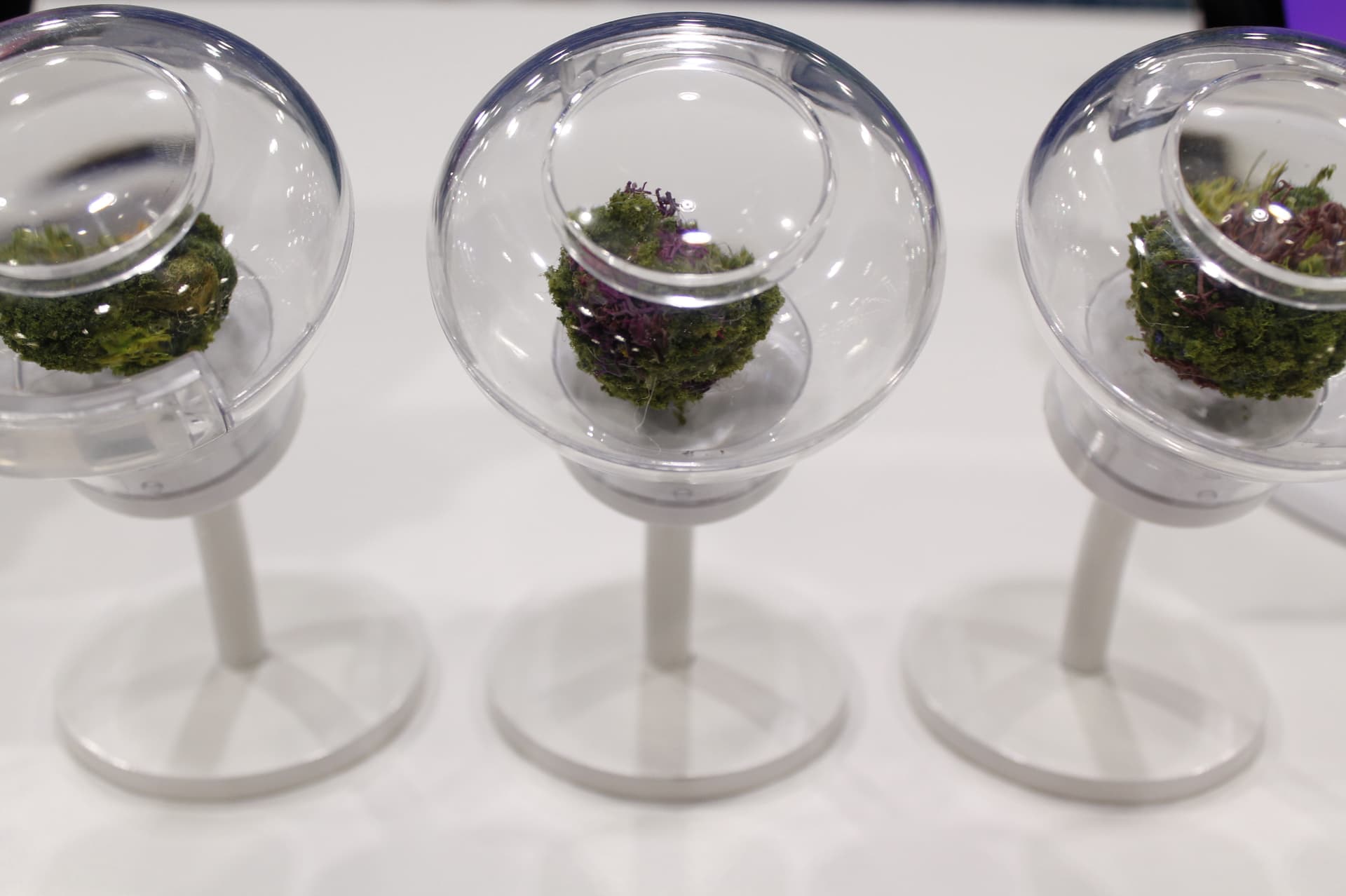From weed home appliances to canned cannabis: Lift & Co. expo day 2 (photos)