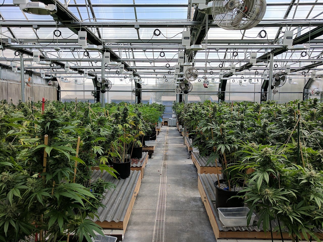 Innovative Industrial Properties announces public offering of 2 million shares - cannabis greenhouse