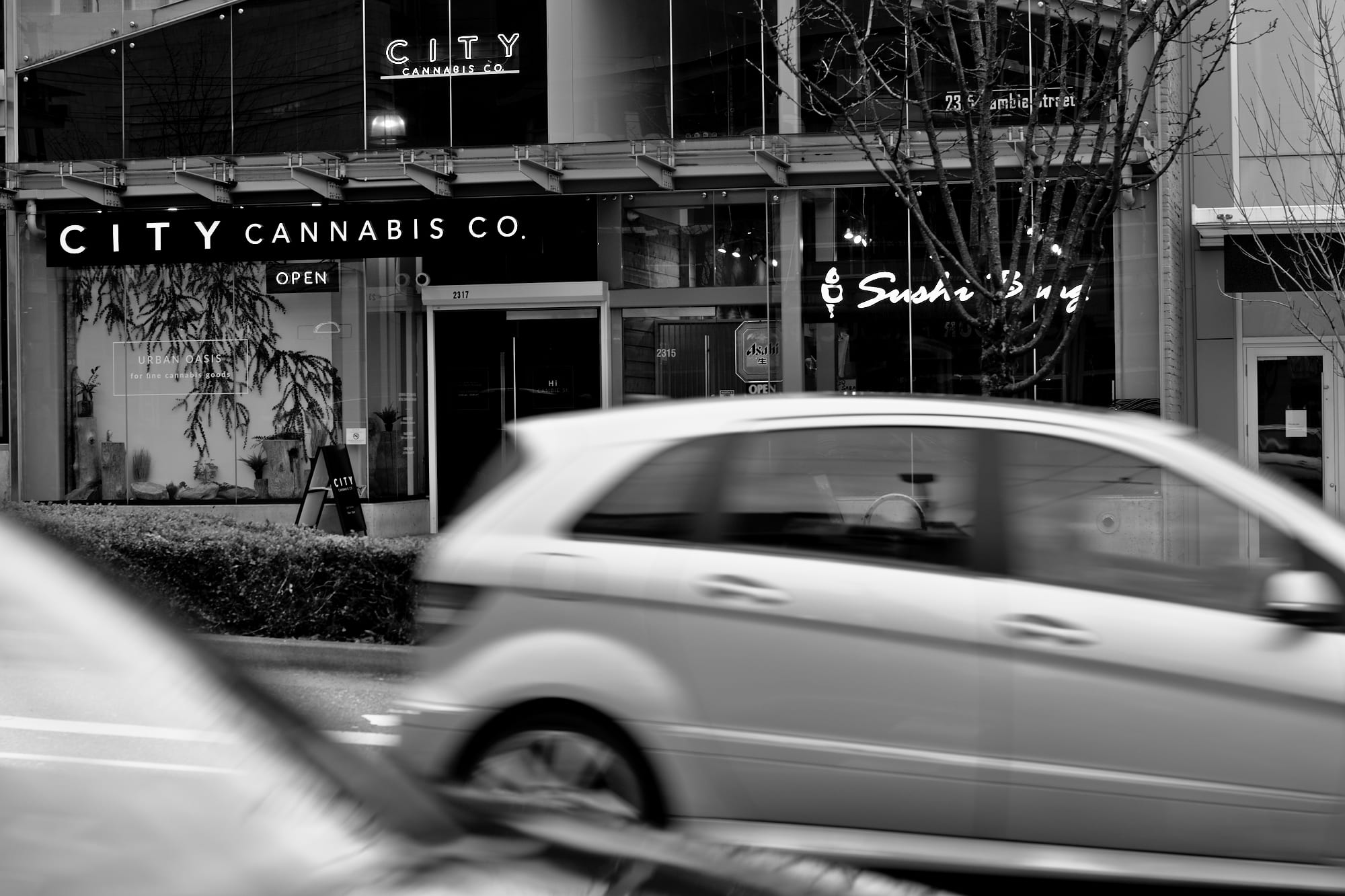 RoadSafetyBC flags chronic patient for cannabis use only after legalization