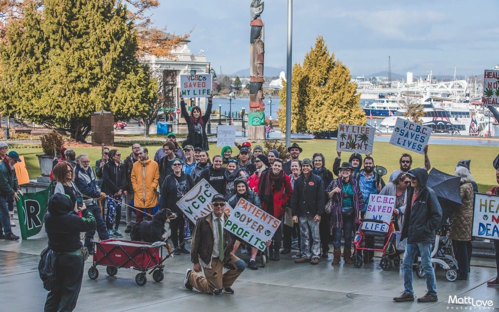 Victoria becomes first Canadian city to back exemption for unlicensed cannabis dispensary