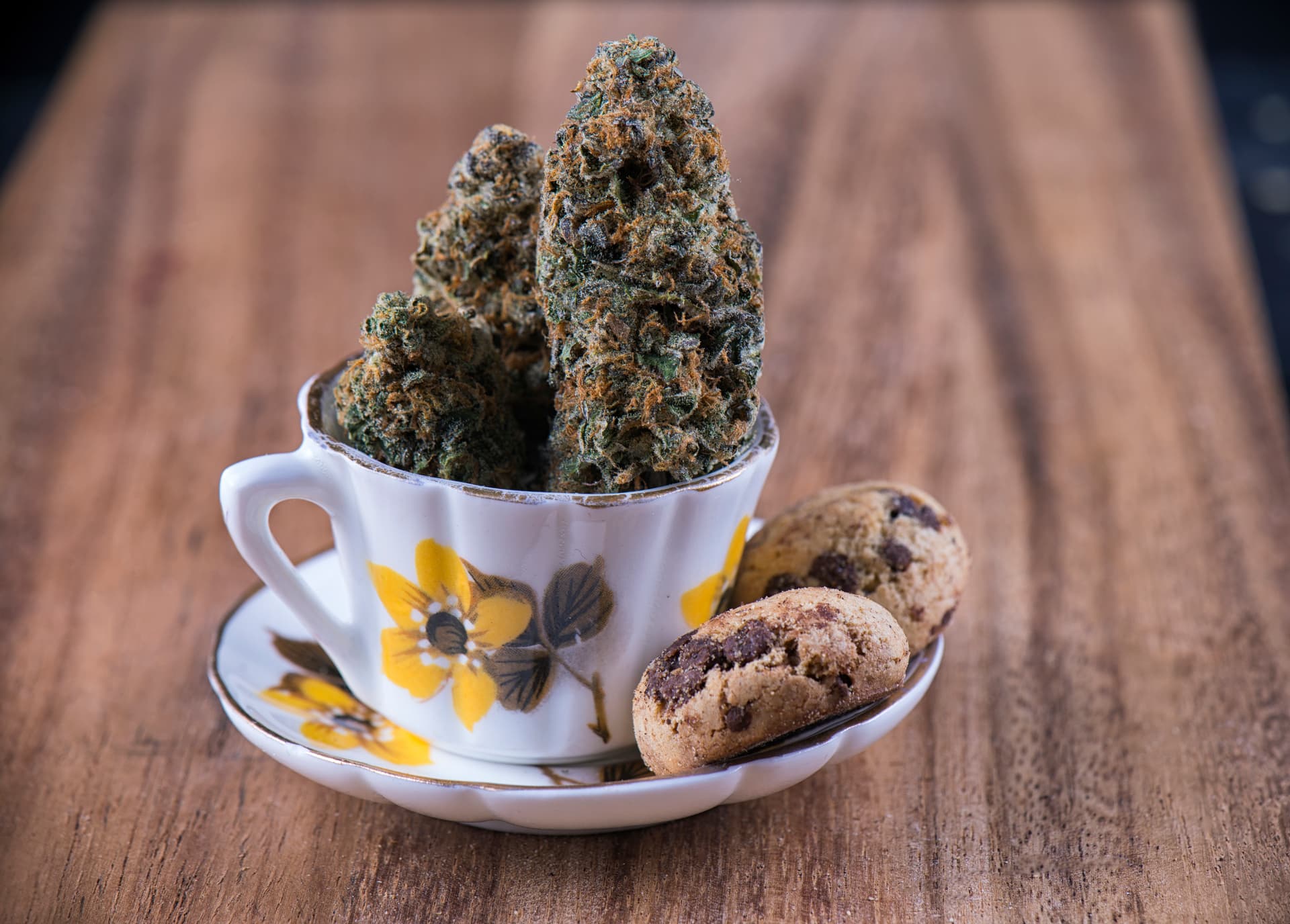 Edmonton will legalize cannabis cafes this year, city councillor says