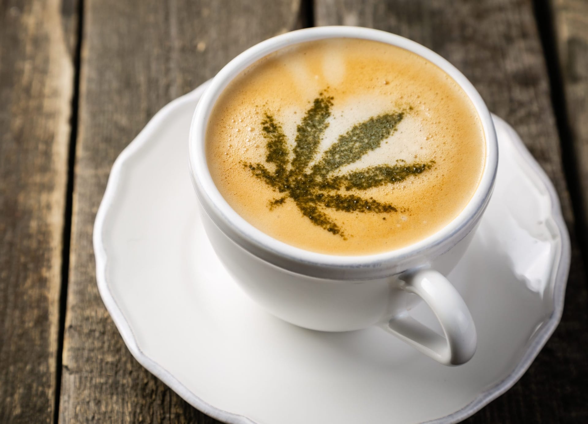 CAFE joins the CCRU to promote employee and community safety