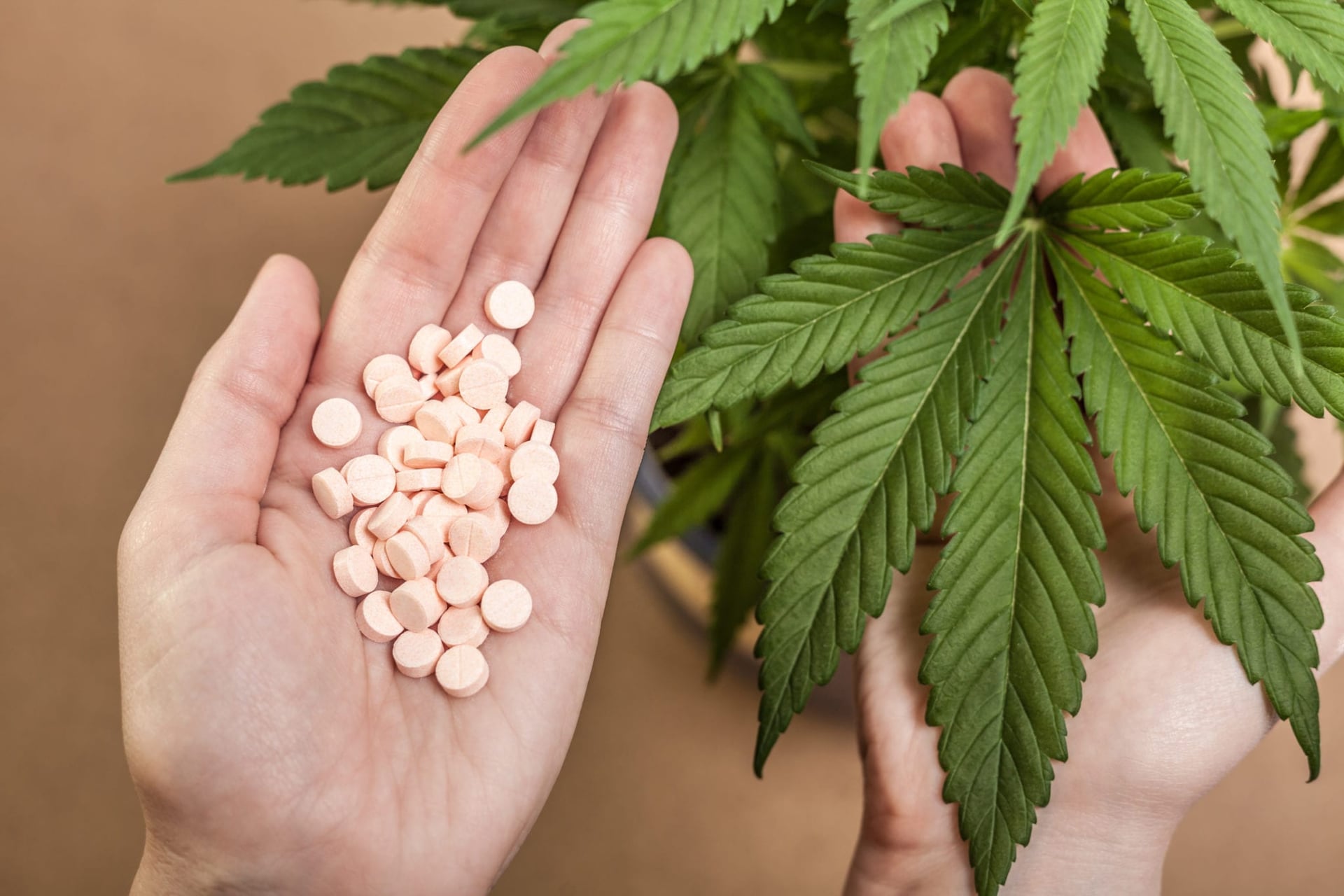 WeedMD acquires another union medical supply agreement