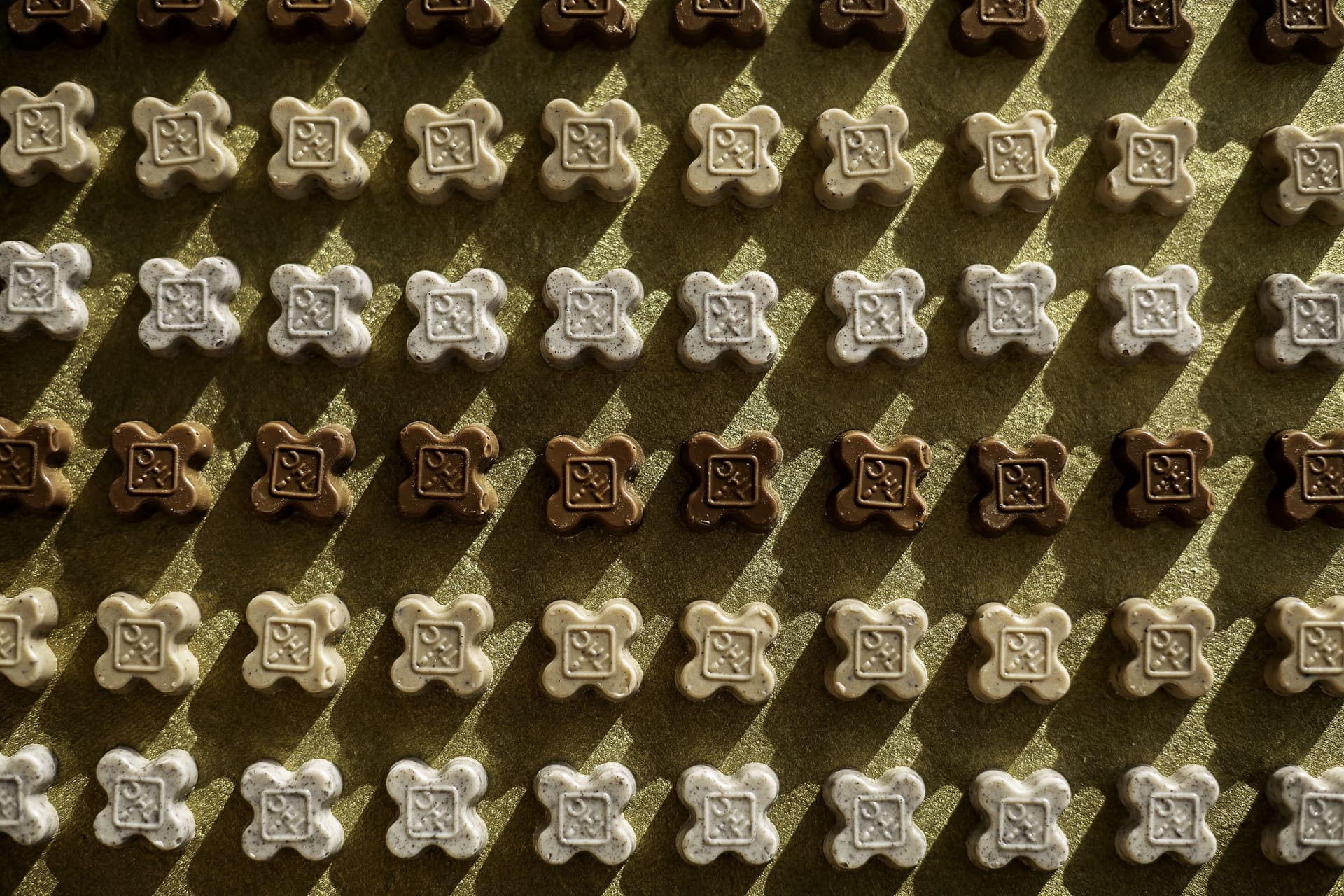 Slang Worldwide launches new THC-infused edible line