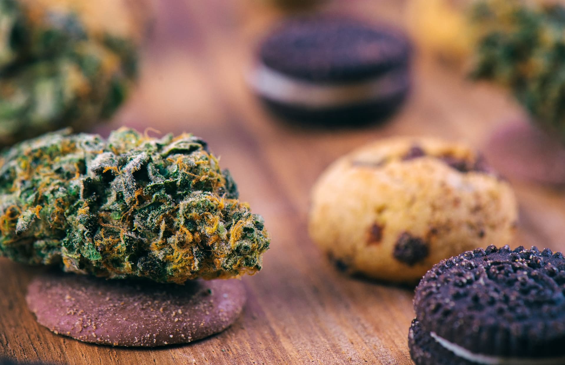 Would edible-only cannabis cafes work?