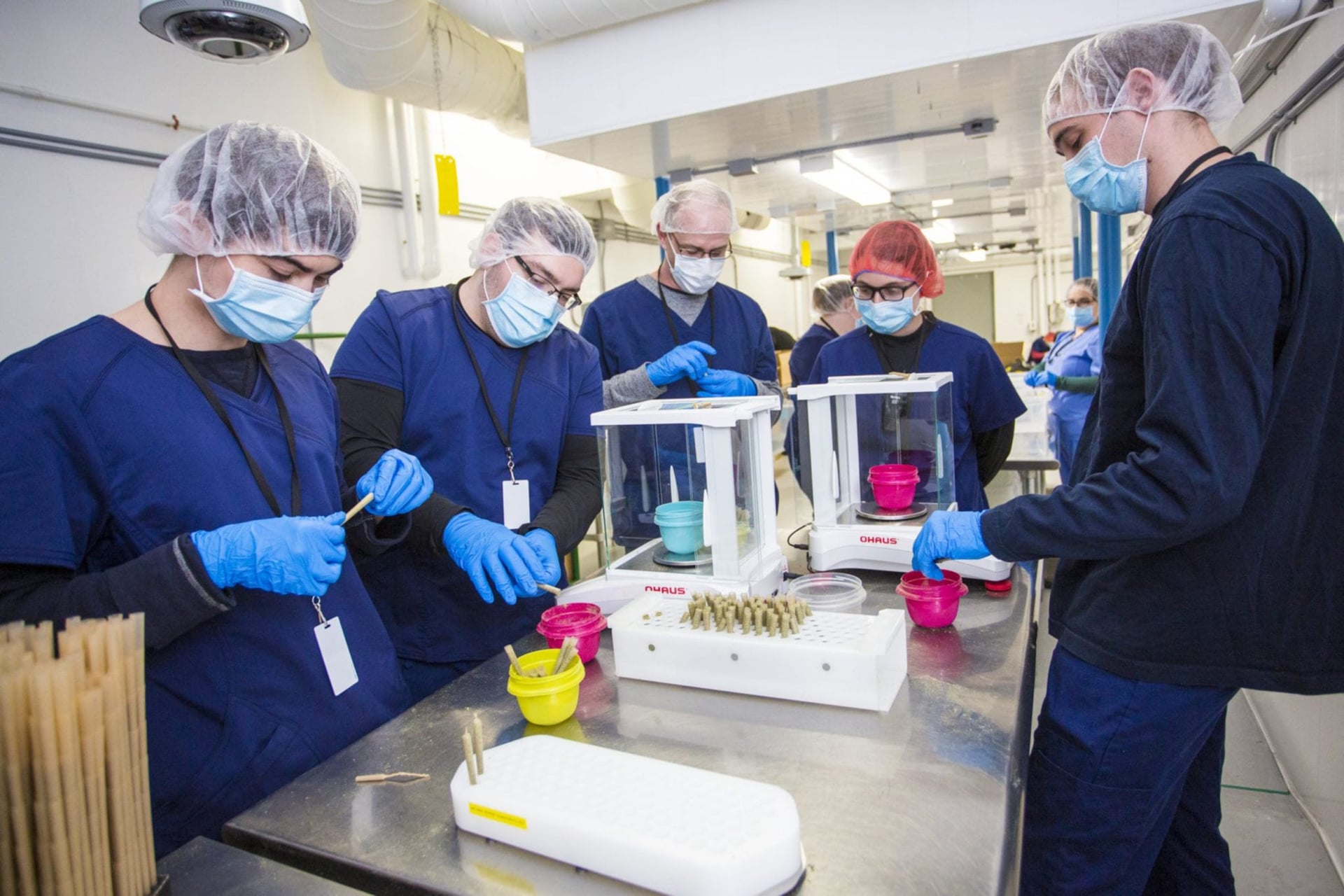 Biome Grow tumbles after producer announces massive business cuts