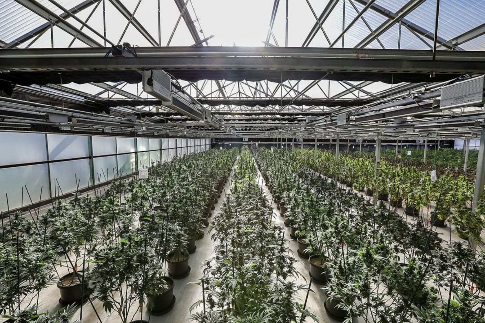 Columbia Care expanding dispensary network buoys Q4 sales