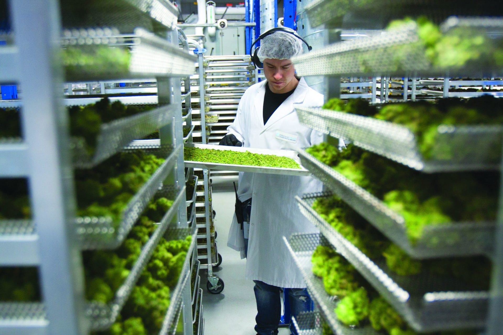 Organigram to issue temporary layoffs during COVID-19 pandemic